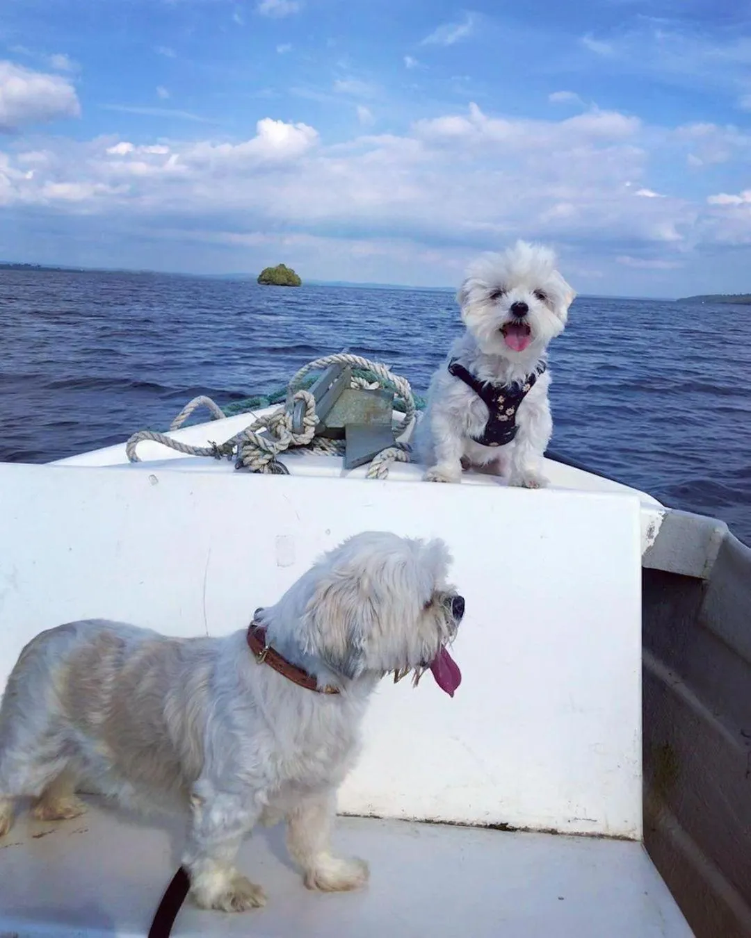 Natural landscape in Dulrush Lodge Guest House, Restaurant and Self-Catering