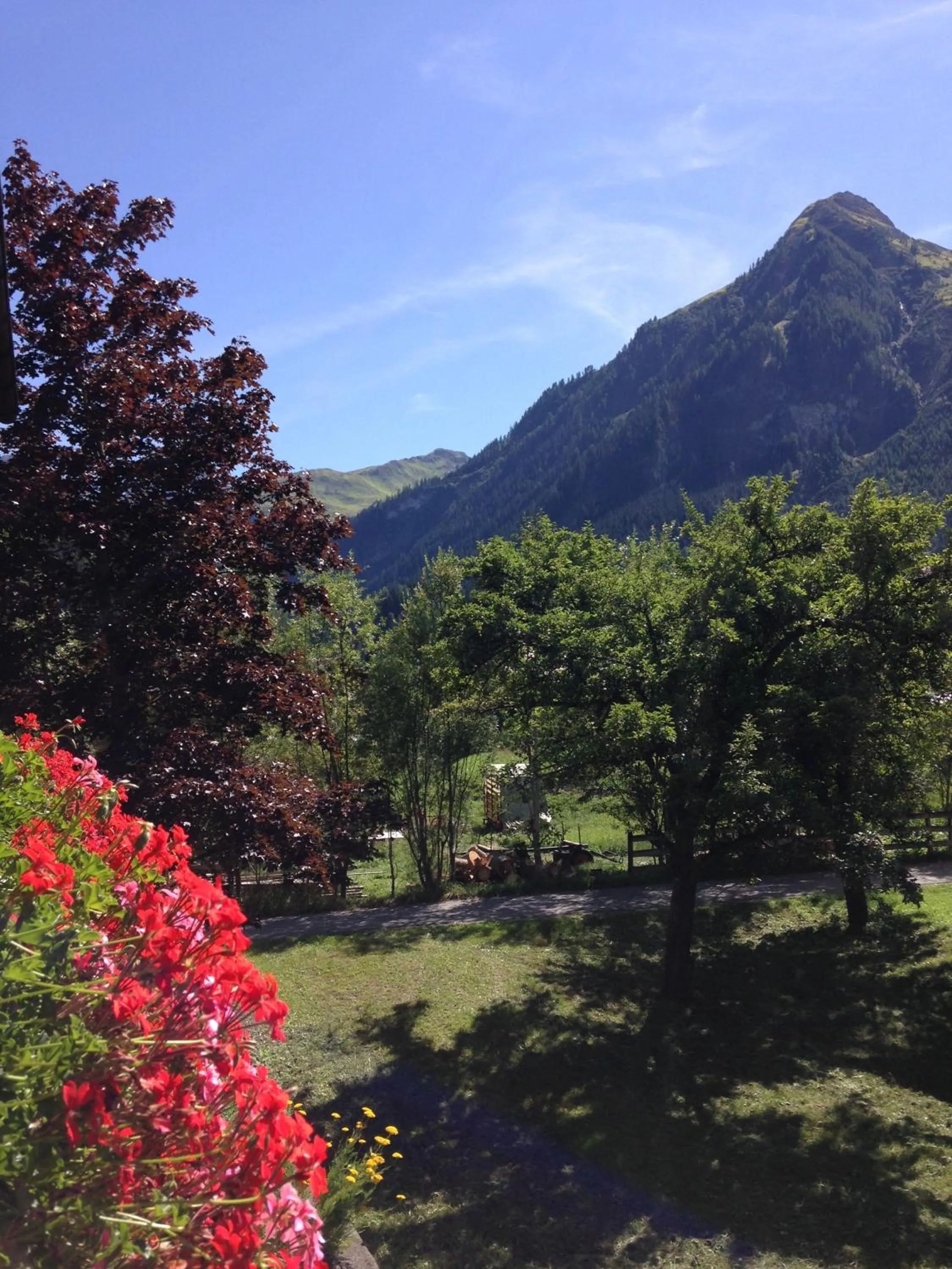 Mountain view in Ferienwohnungen Bailom