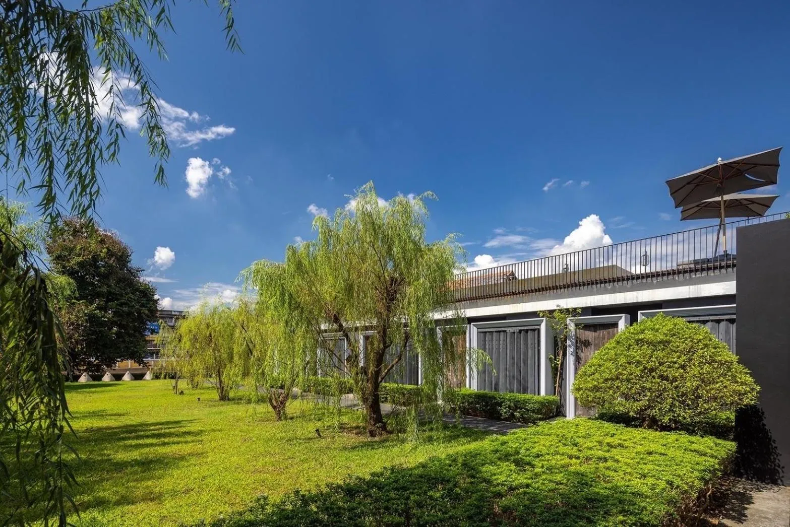 Garden in Hotel Ping Silhouette