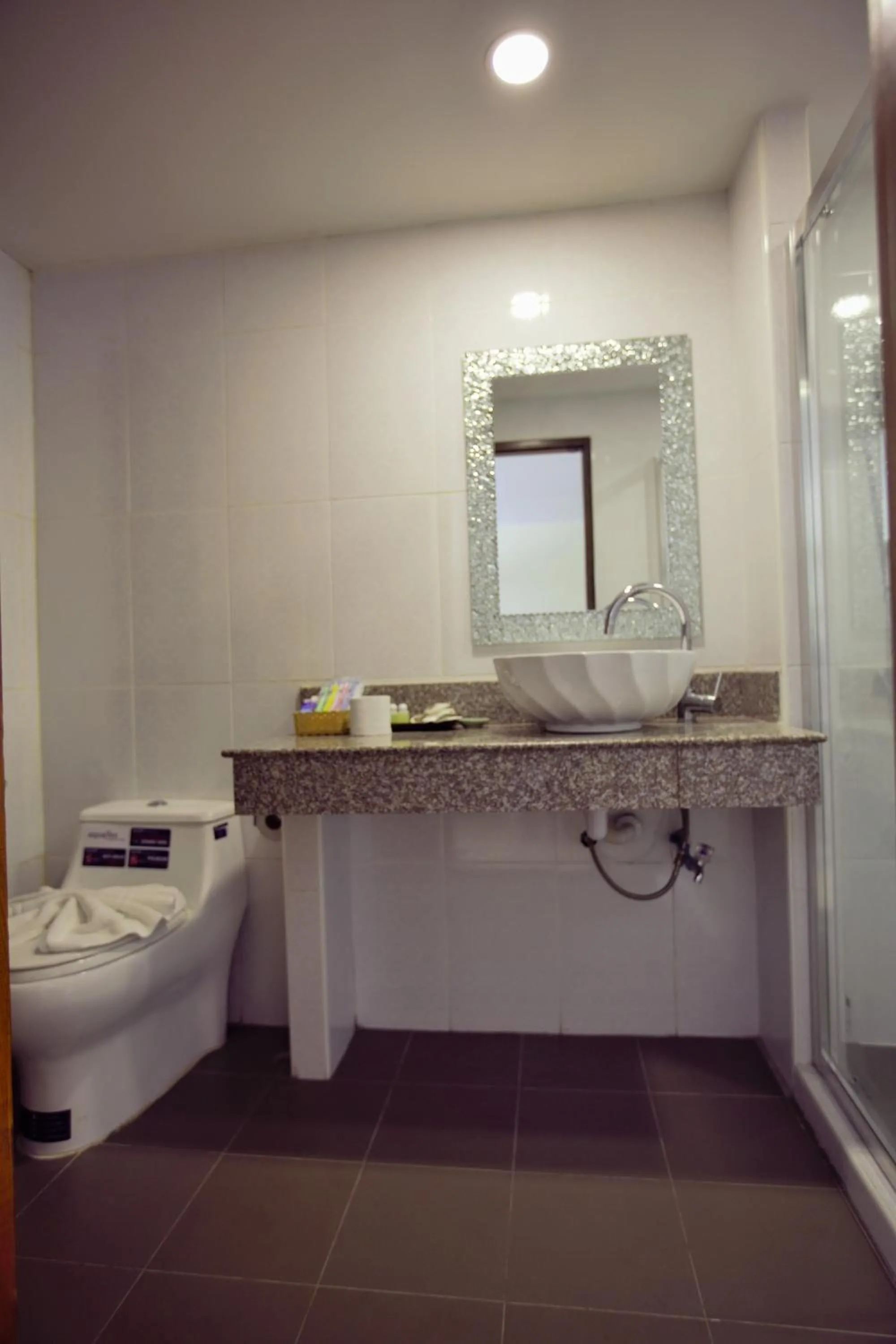 Toilet in MD Boutique Hotel