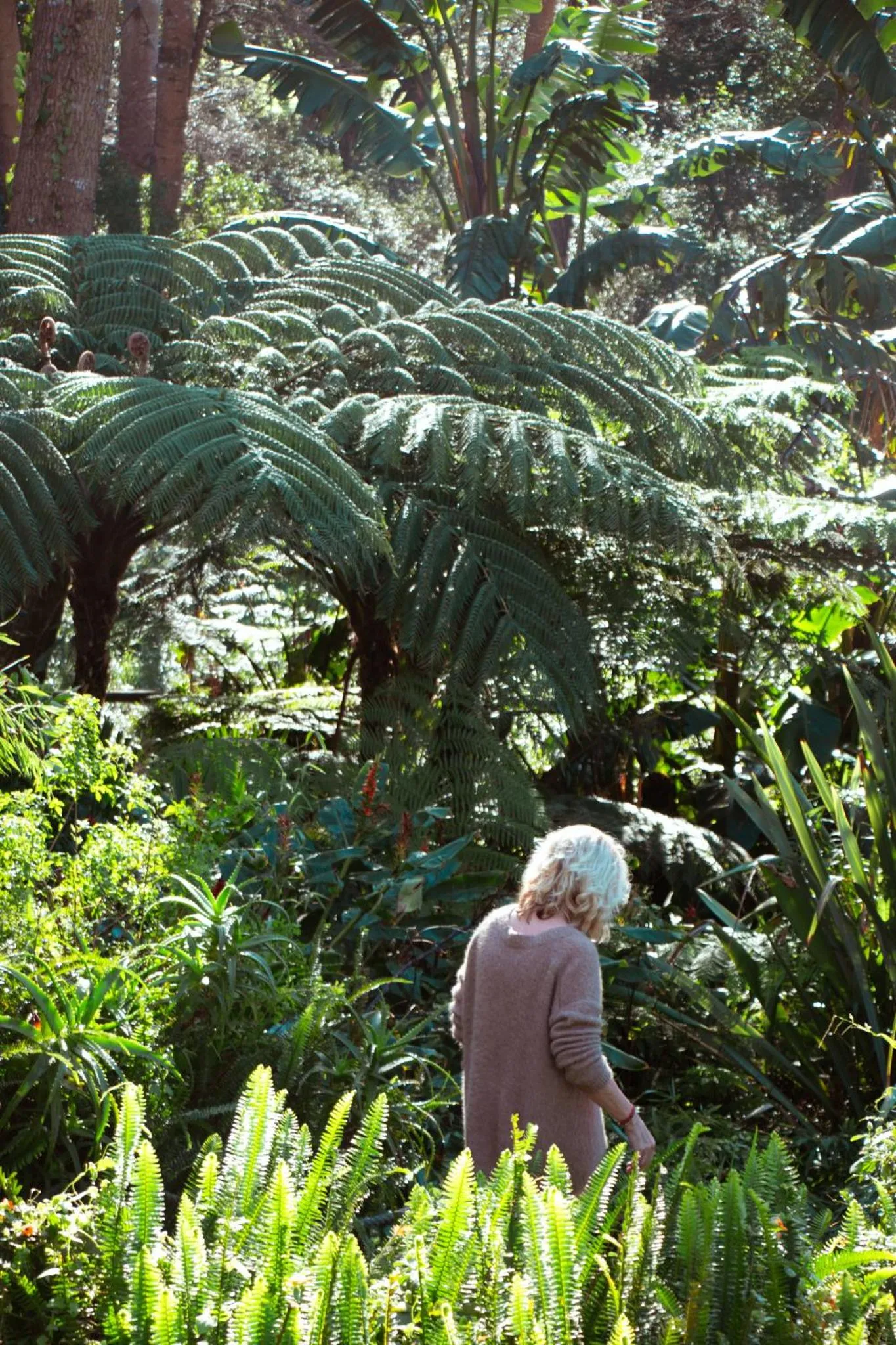 Garden in Southern Light Country House