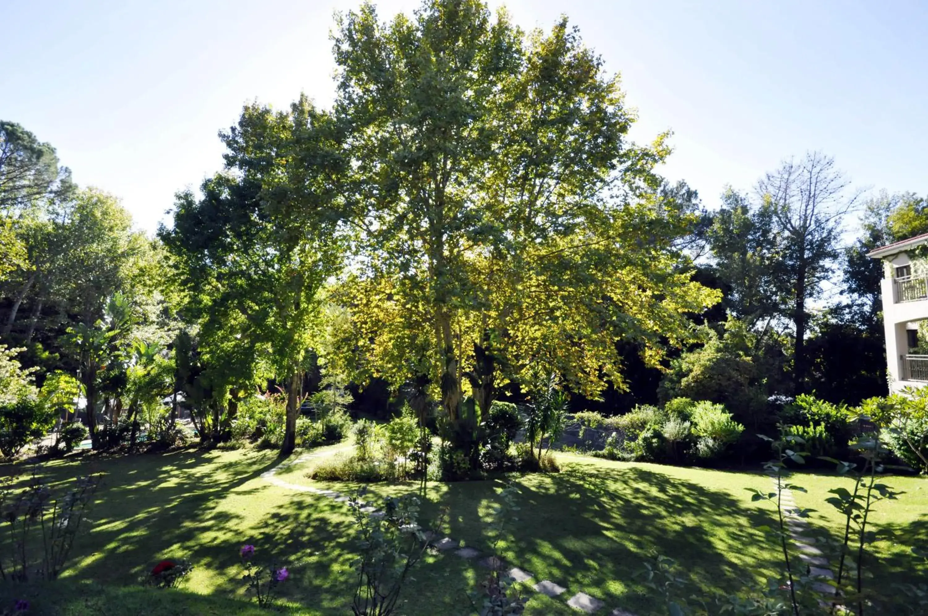 Natural landscape in Southern Light Country House Natural landscape in Southern Light Country House