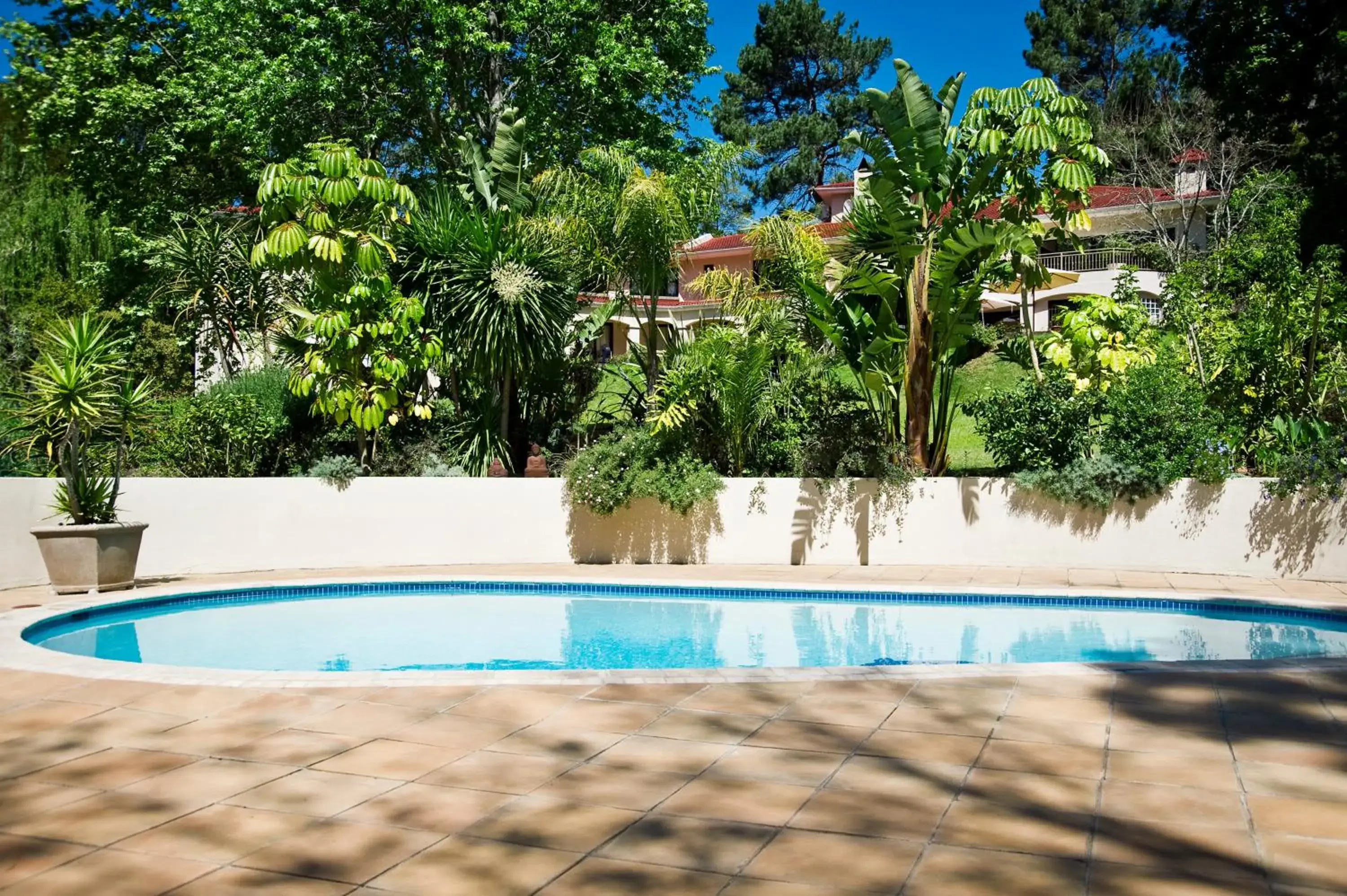 Garden view in Southern Light Country House Garden view in Southern Light Country House