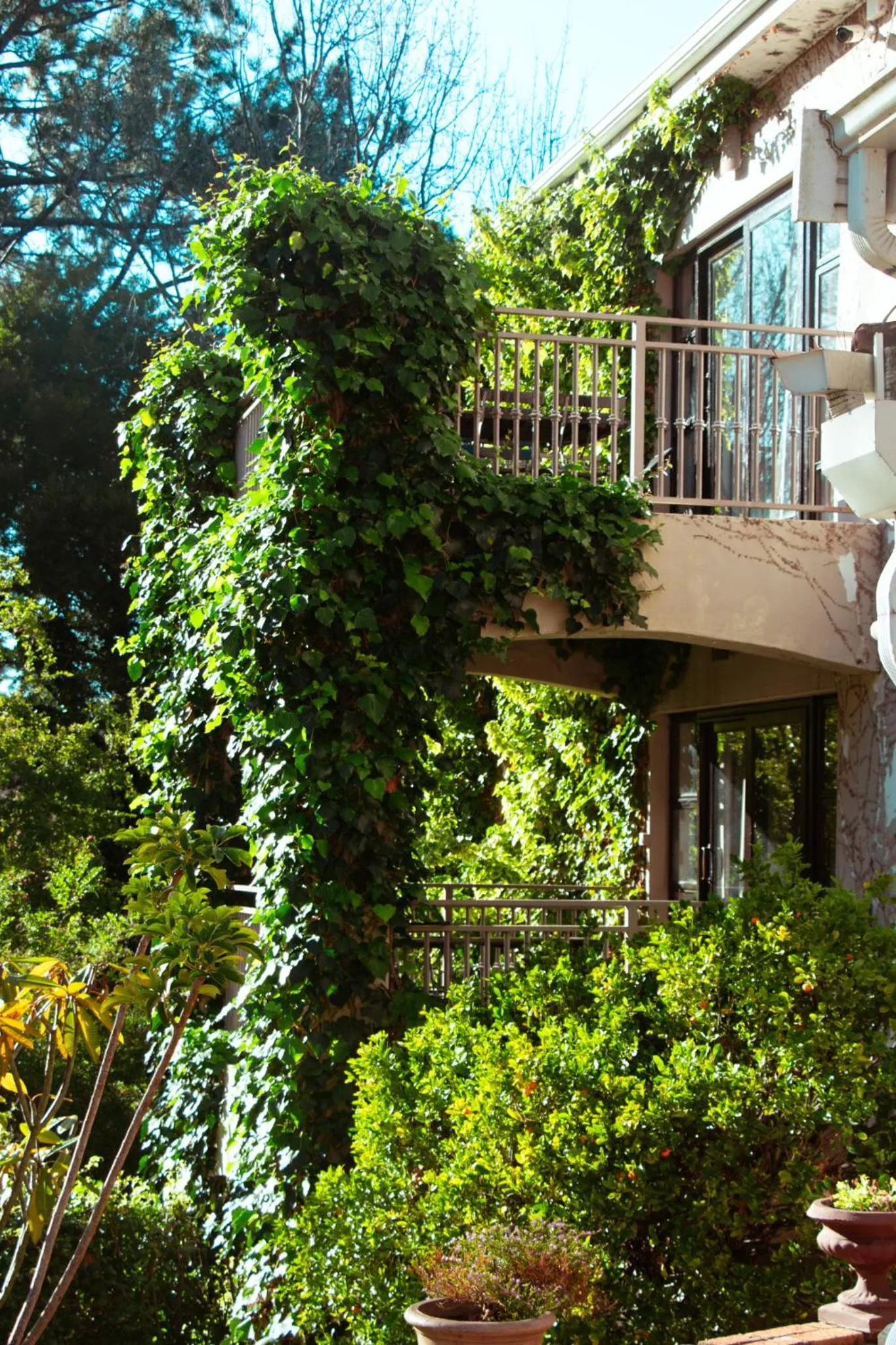 Property building in Southern Light Country House