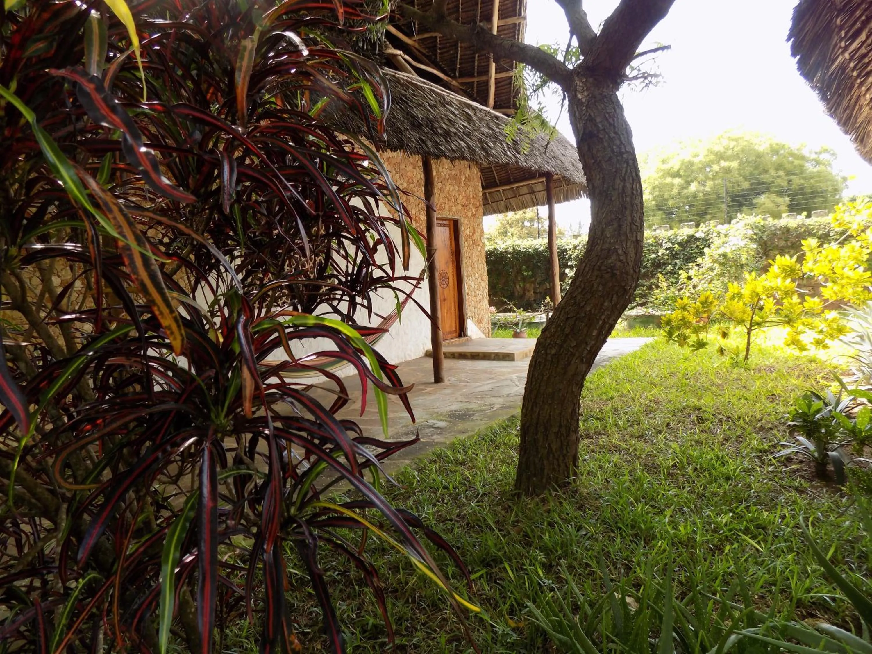 Property building in Eco Villas Watamu