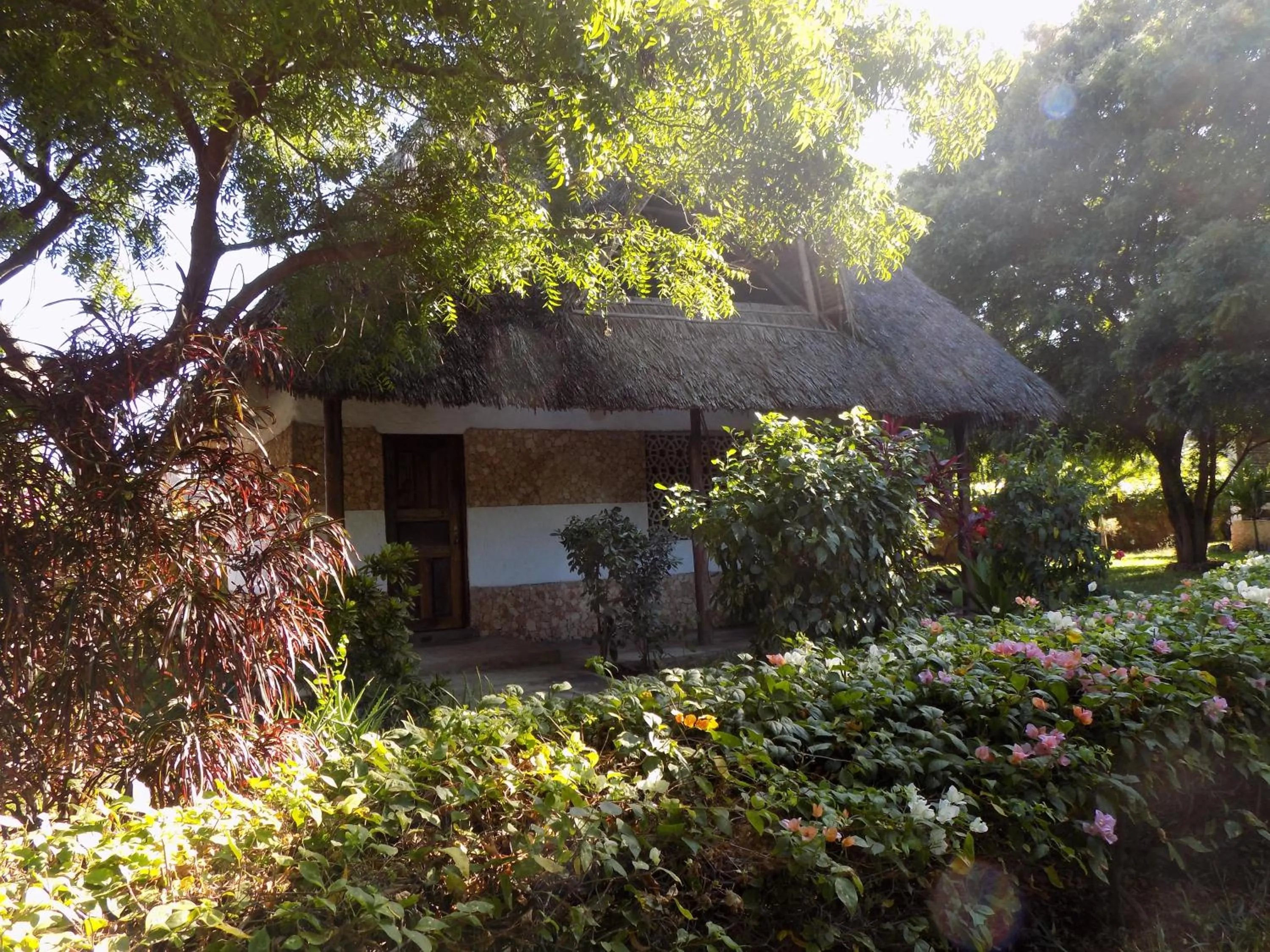 Garden in Eco Villas Watamu