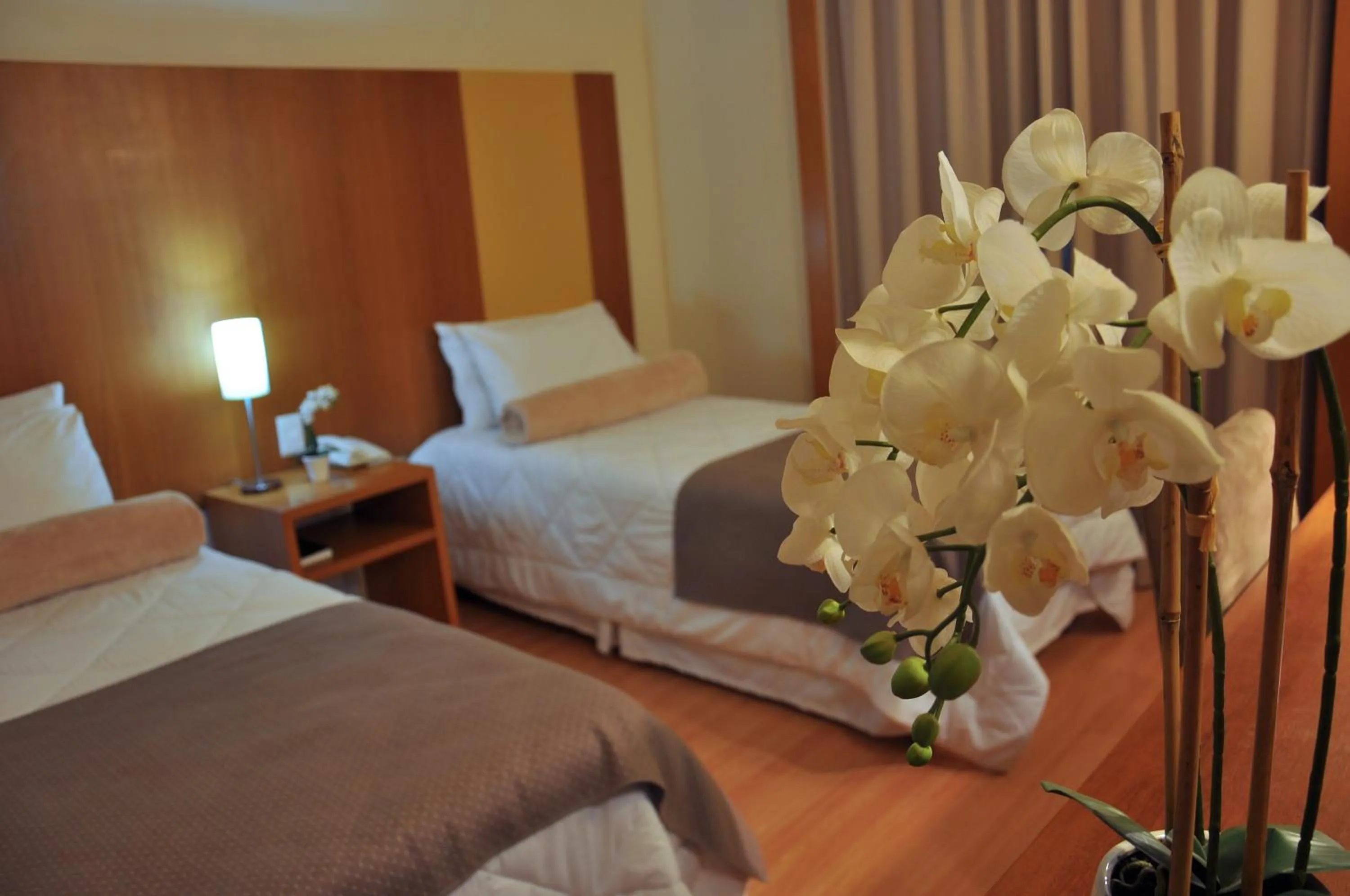 Photo of the whole room, Bed in Cegil Hotel Boulevard