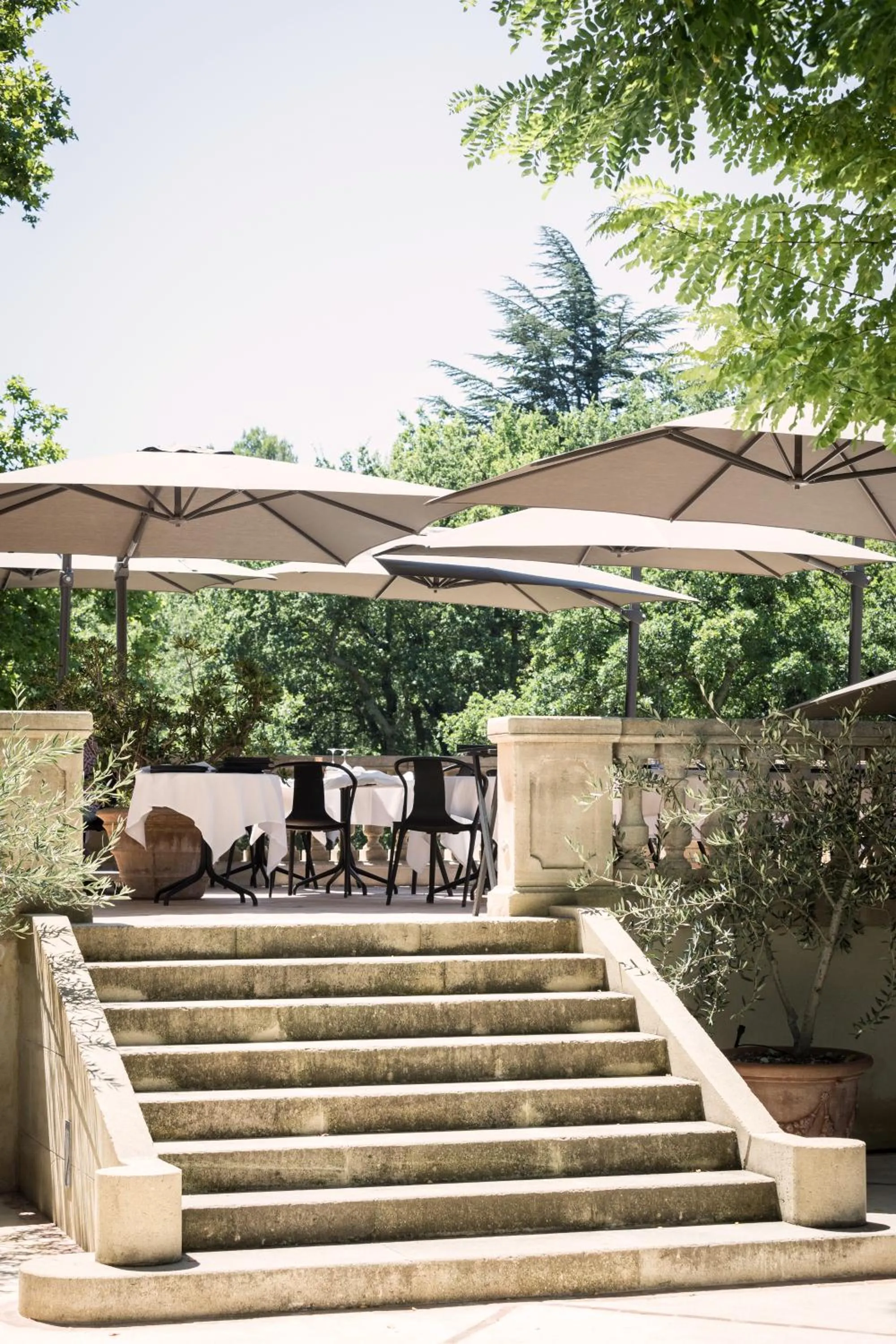 Restaurant/places to eat in Domaine de Fontenille