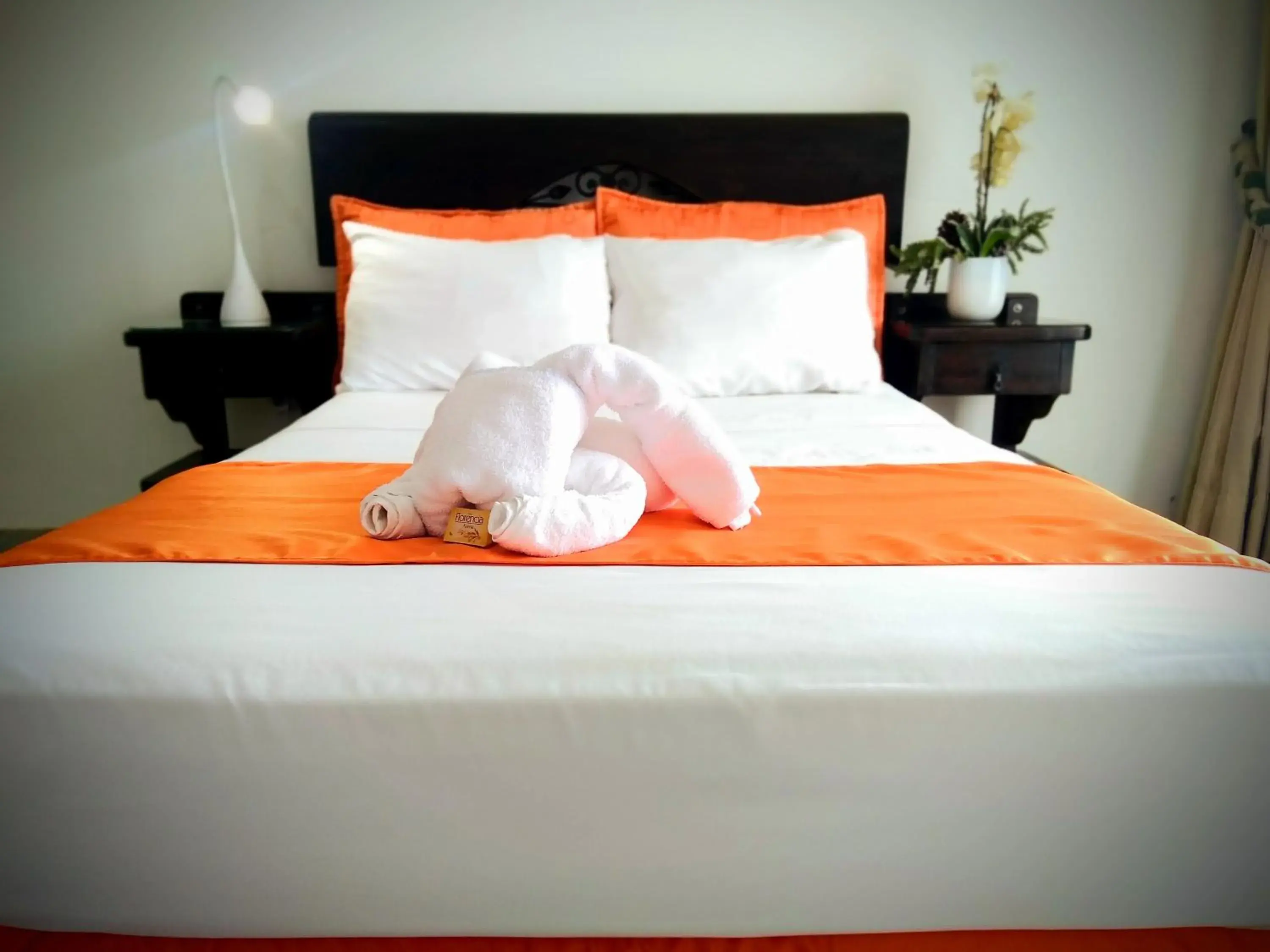 Single Room - single occupancy in Hotel el Atajo Single Room - single occupancy in Hotel el Atajo