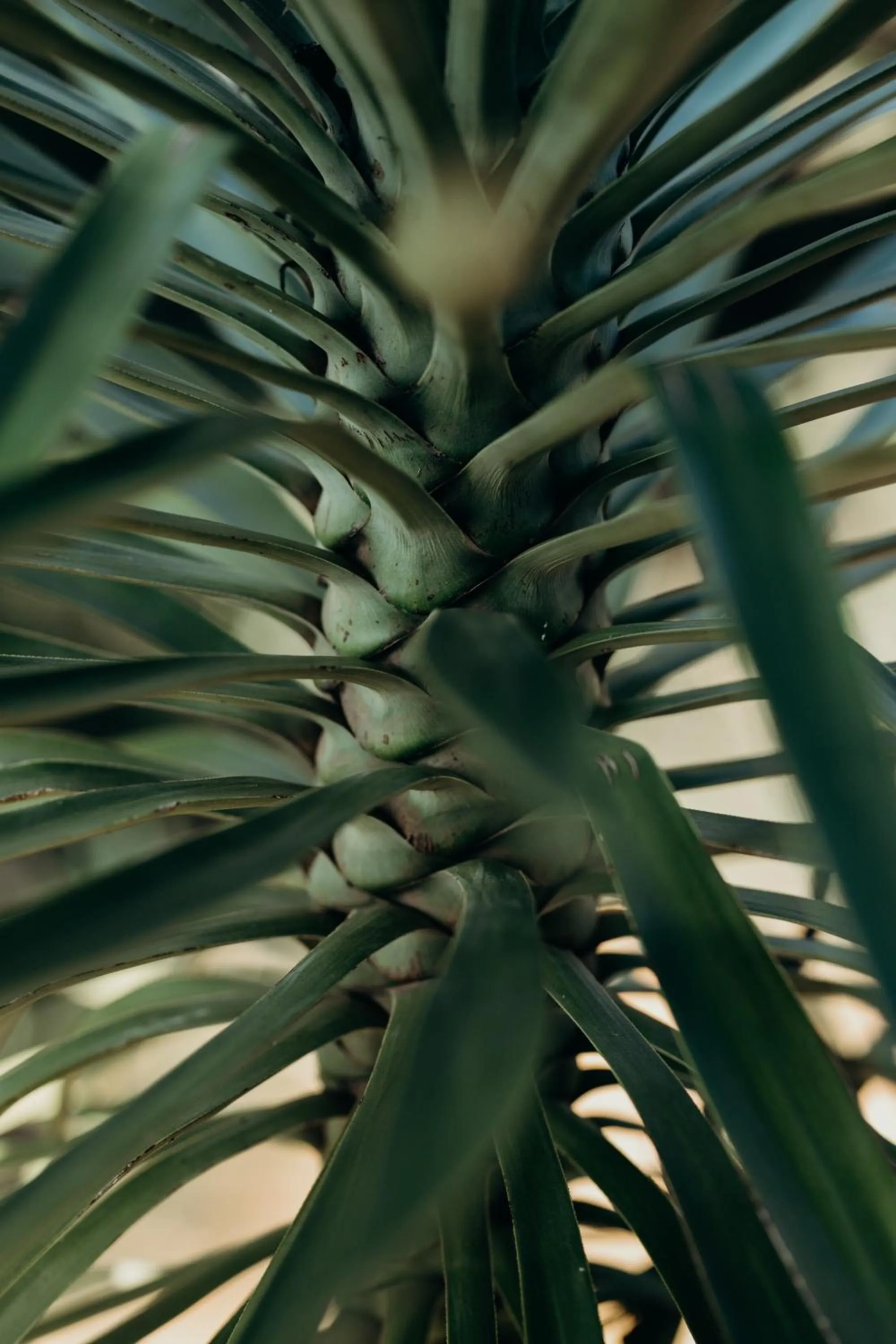 Natural landscape in Bukela Game Lodge - Amakhala Game Reserve
