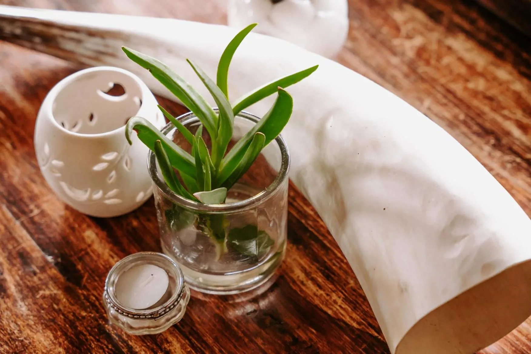 Decorative detail in Bukela Game Lodge - Amakhala Game Reserve