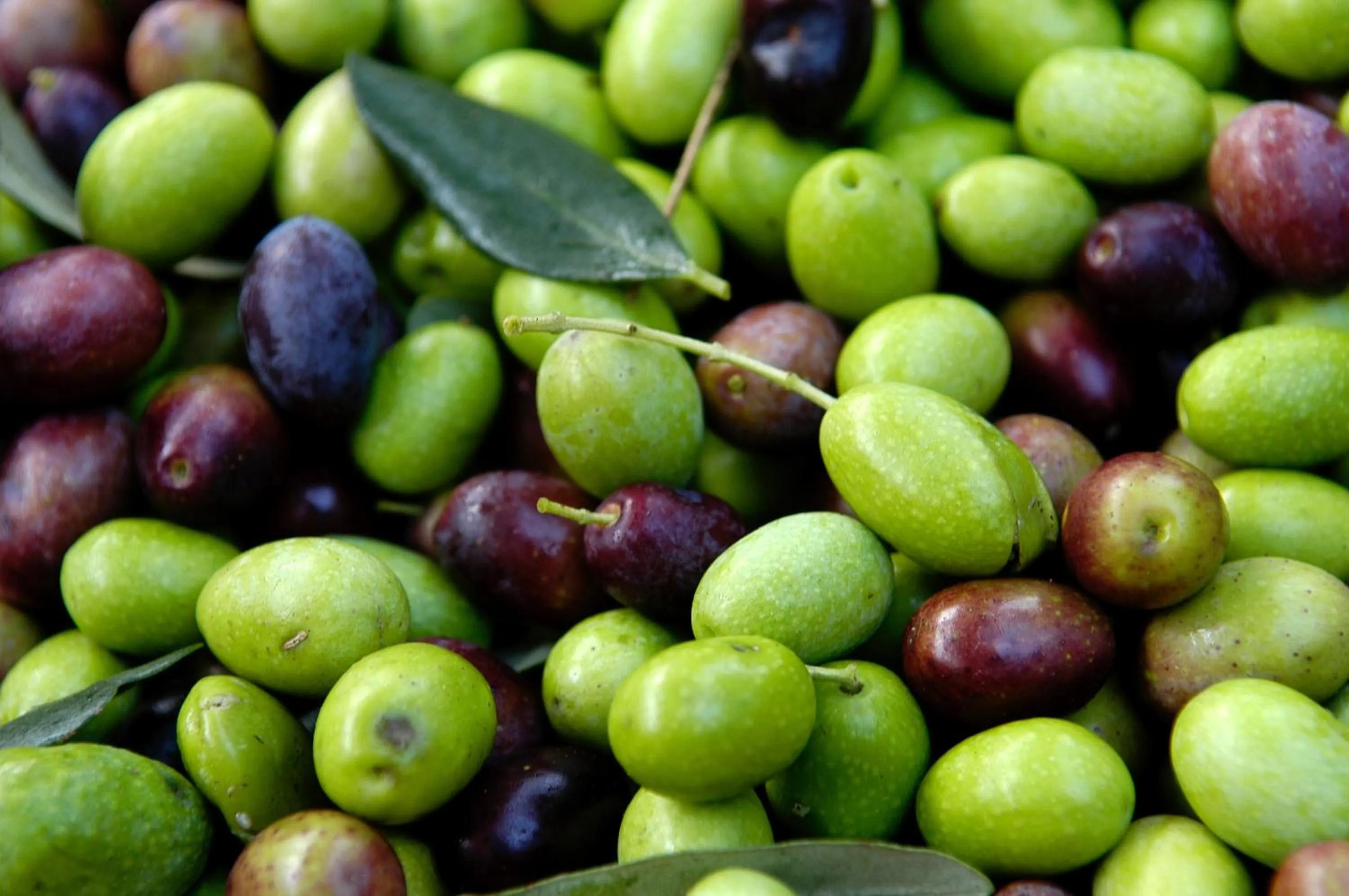 Other in B&B Baciami Ancora