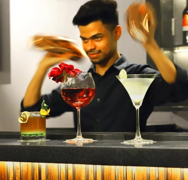 Aralia A business Hotel, MIDC