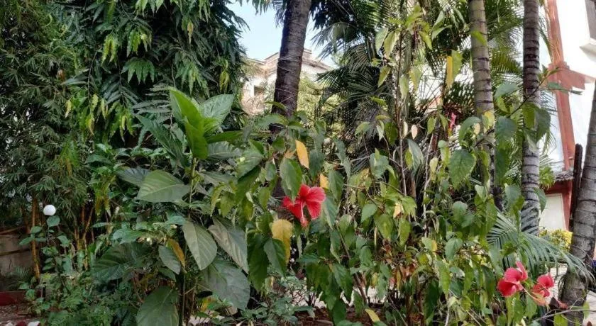 Atlanta Beach Resort