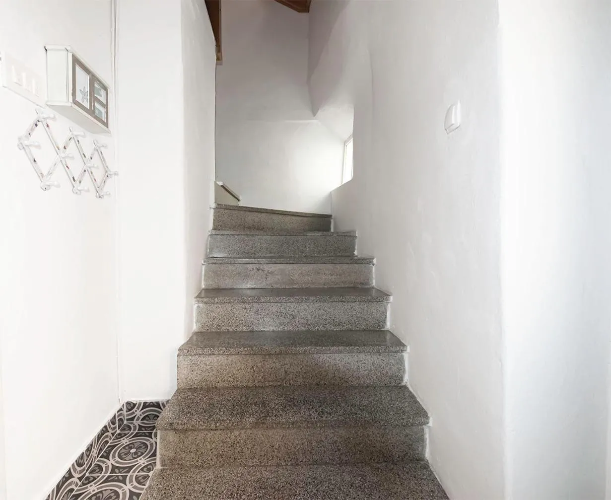 Photo of the whole room in Apartment Plasa