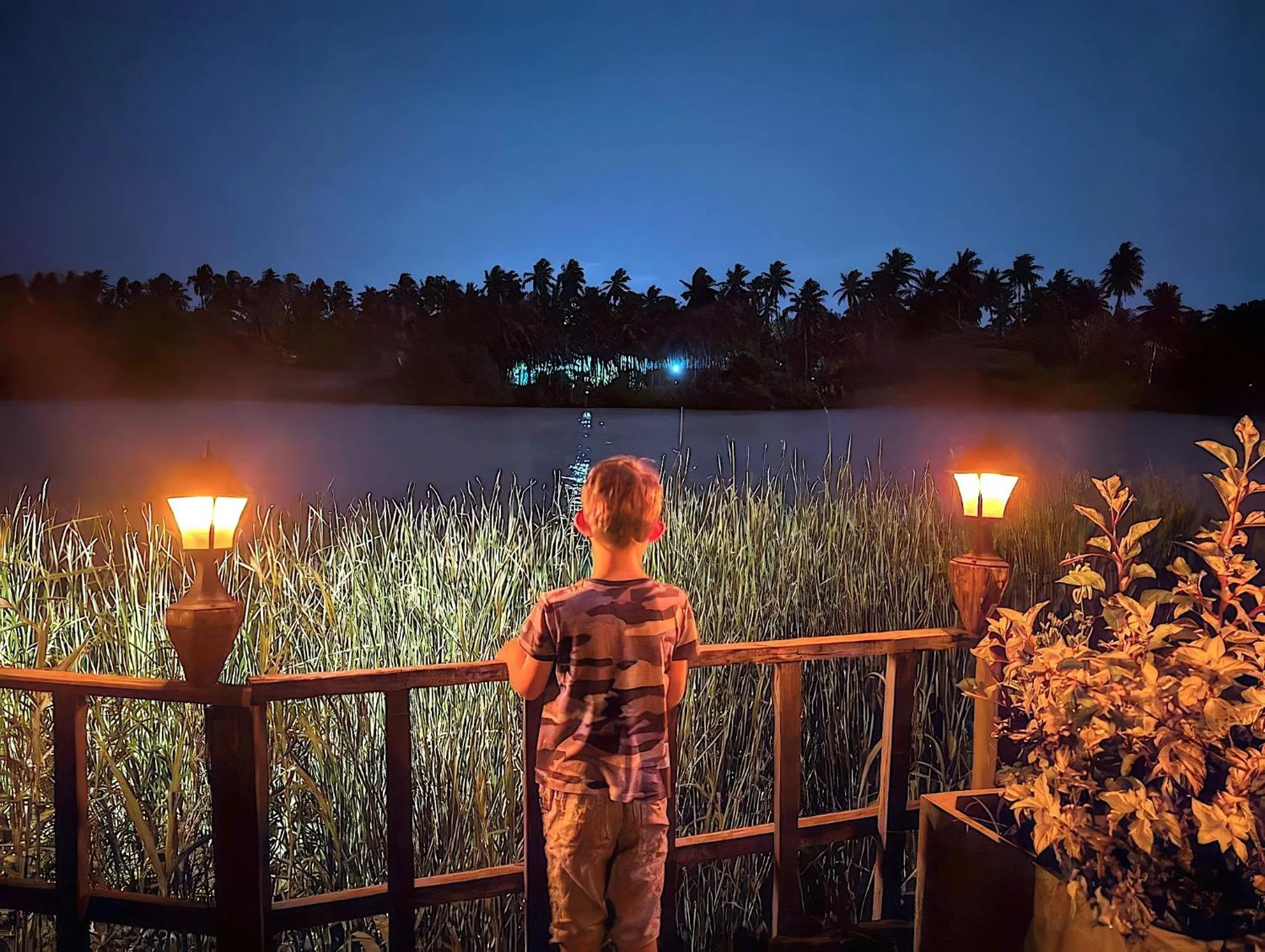 View (from property/room) in Waterland