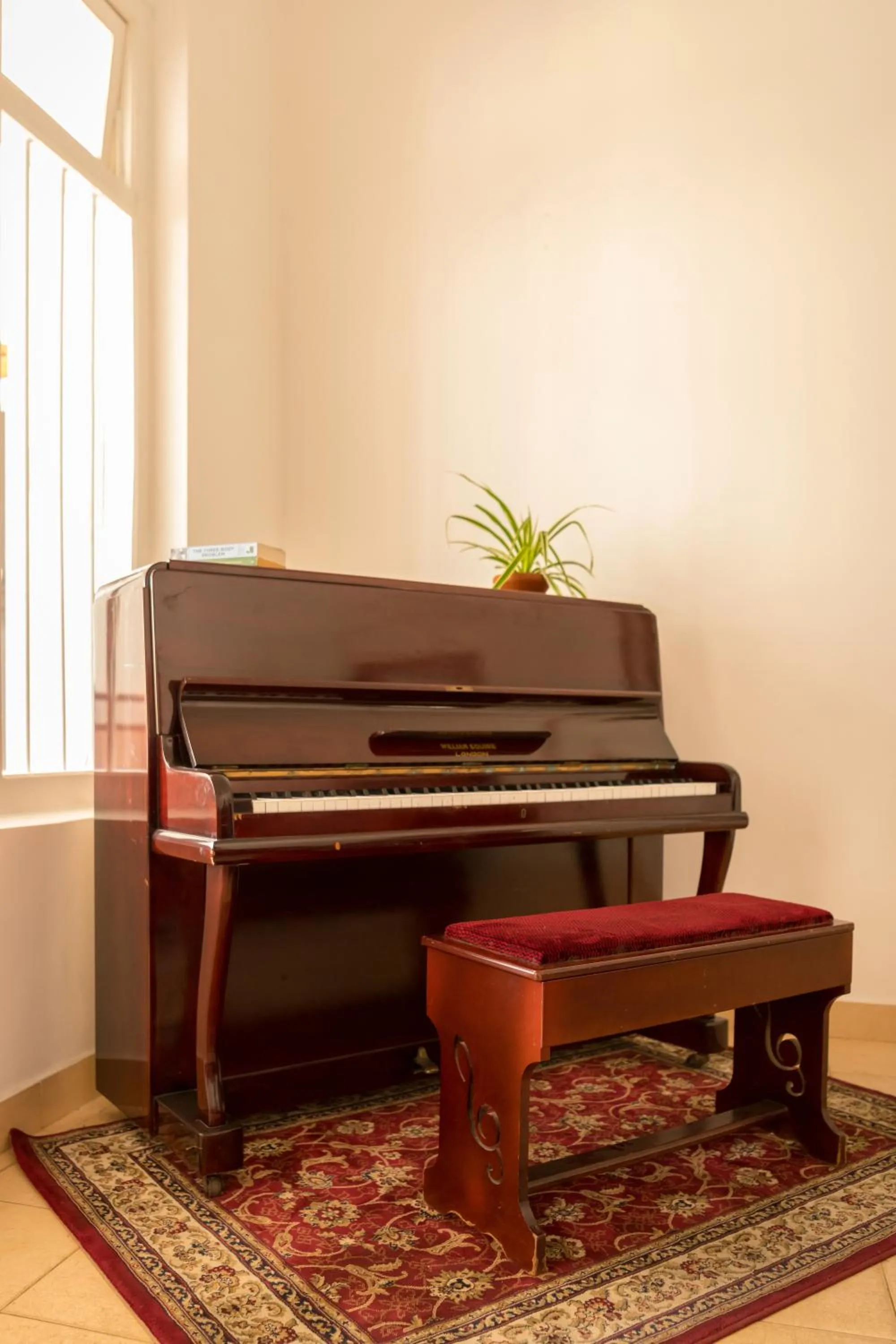 Patio in Xavier's Cottage