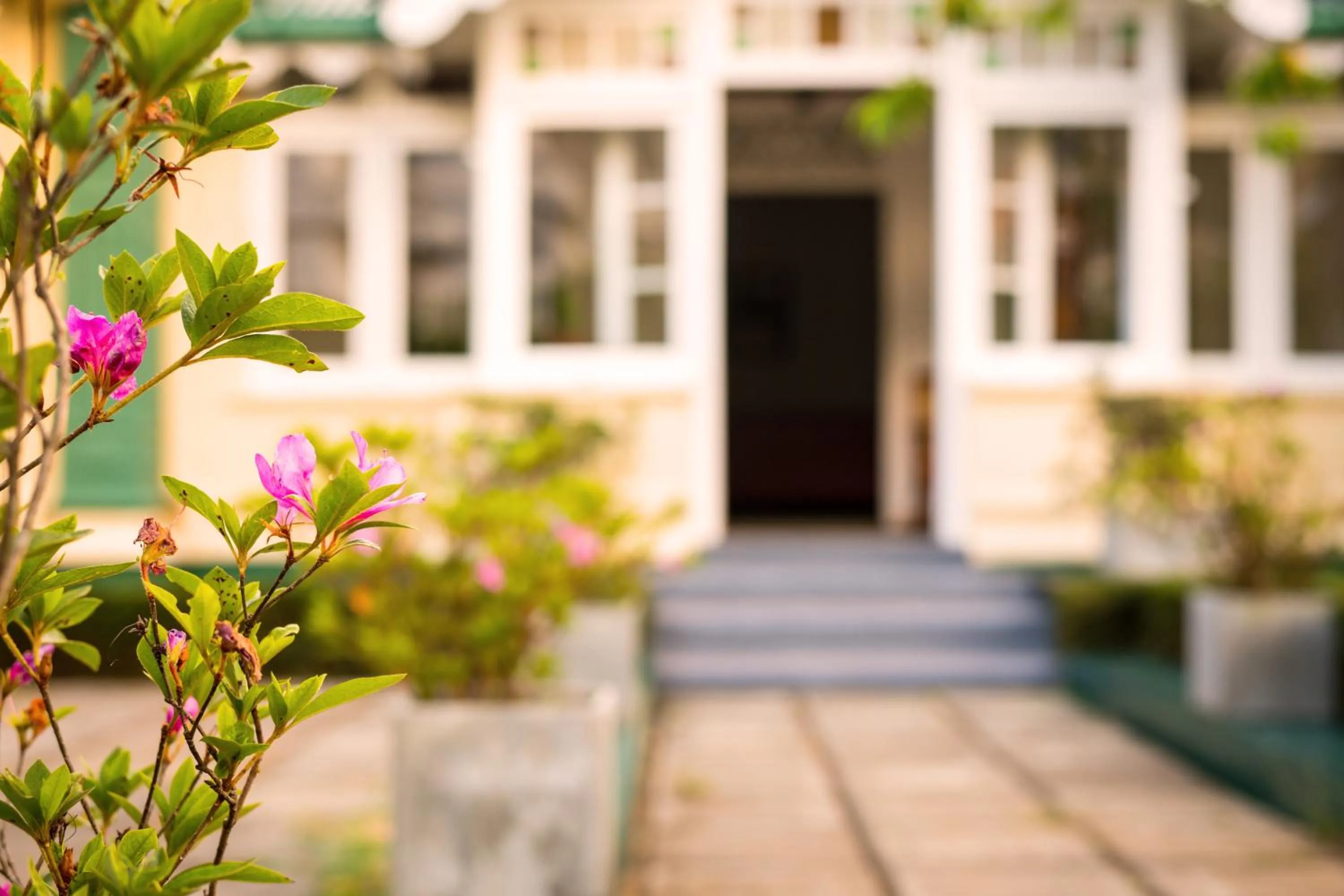 Facade/entrance in Xavier's Cottage