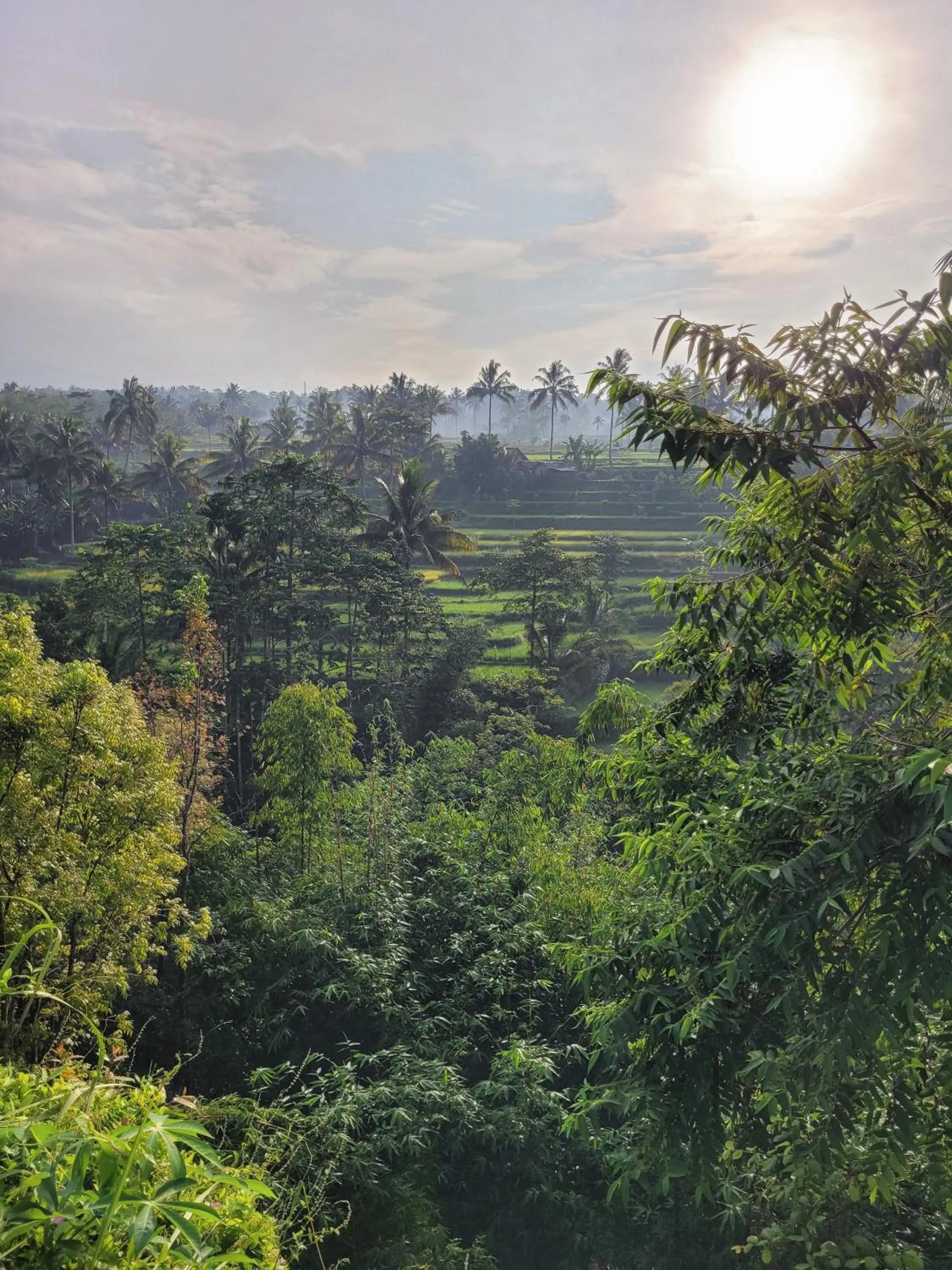 Natural landscape in Les Rizieres Lombok - Tetebatu