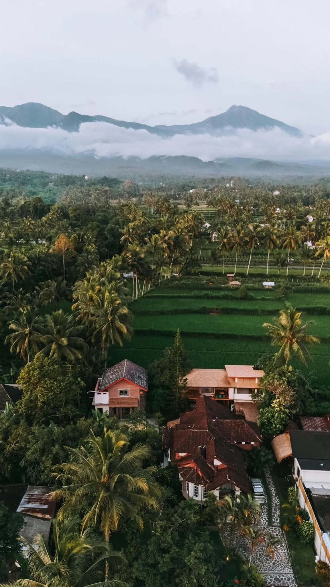 Bird's eye view in Les Rizieres Lombok