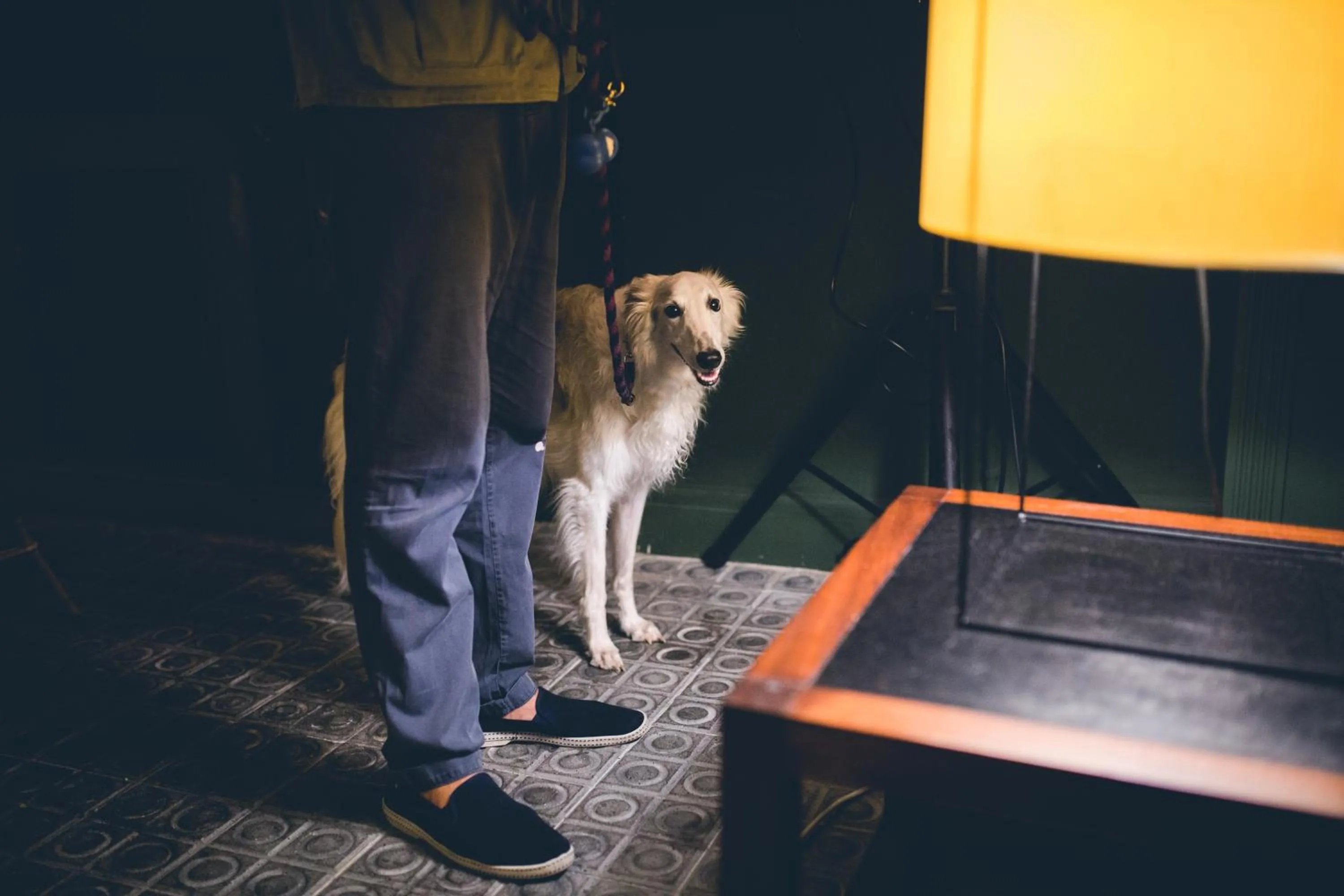 Pets in Hotel Casa Bonay & Spa