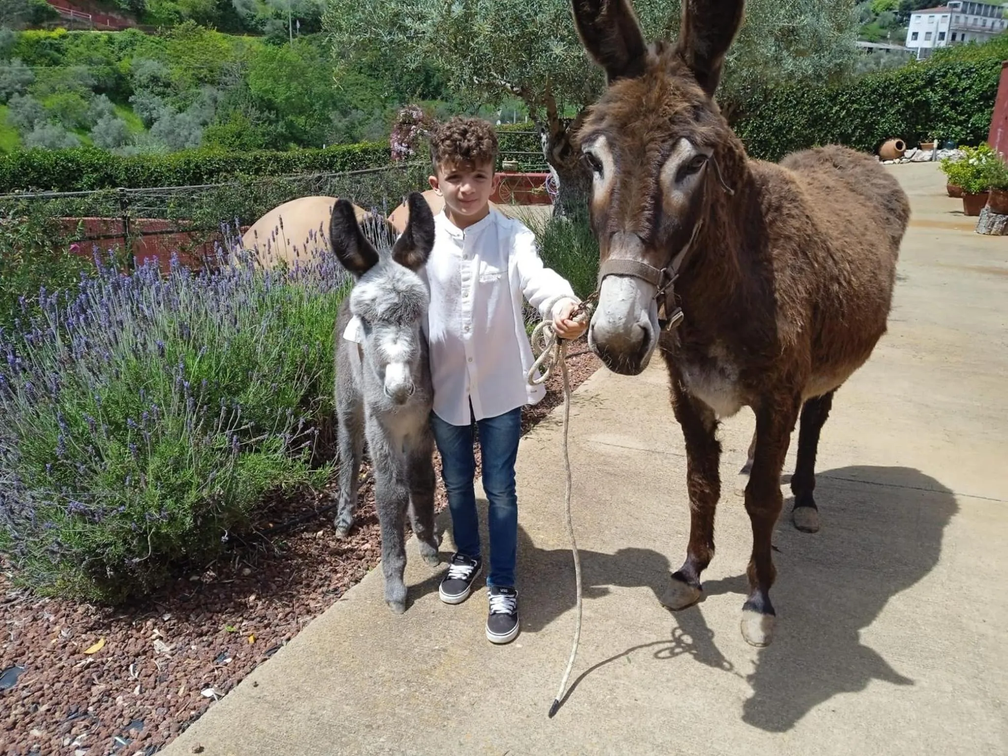 Pets in Casa El Descanso Del Peregrino