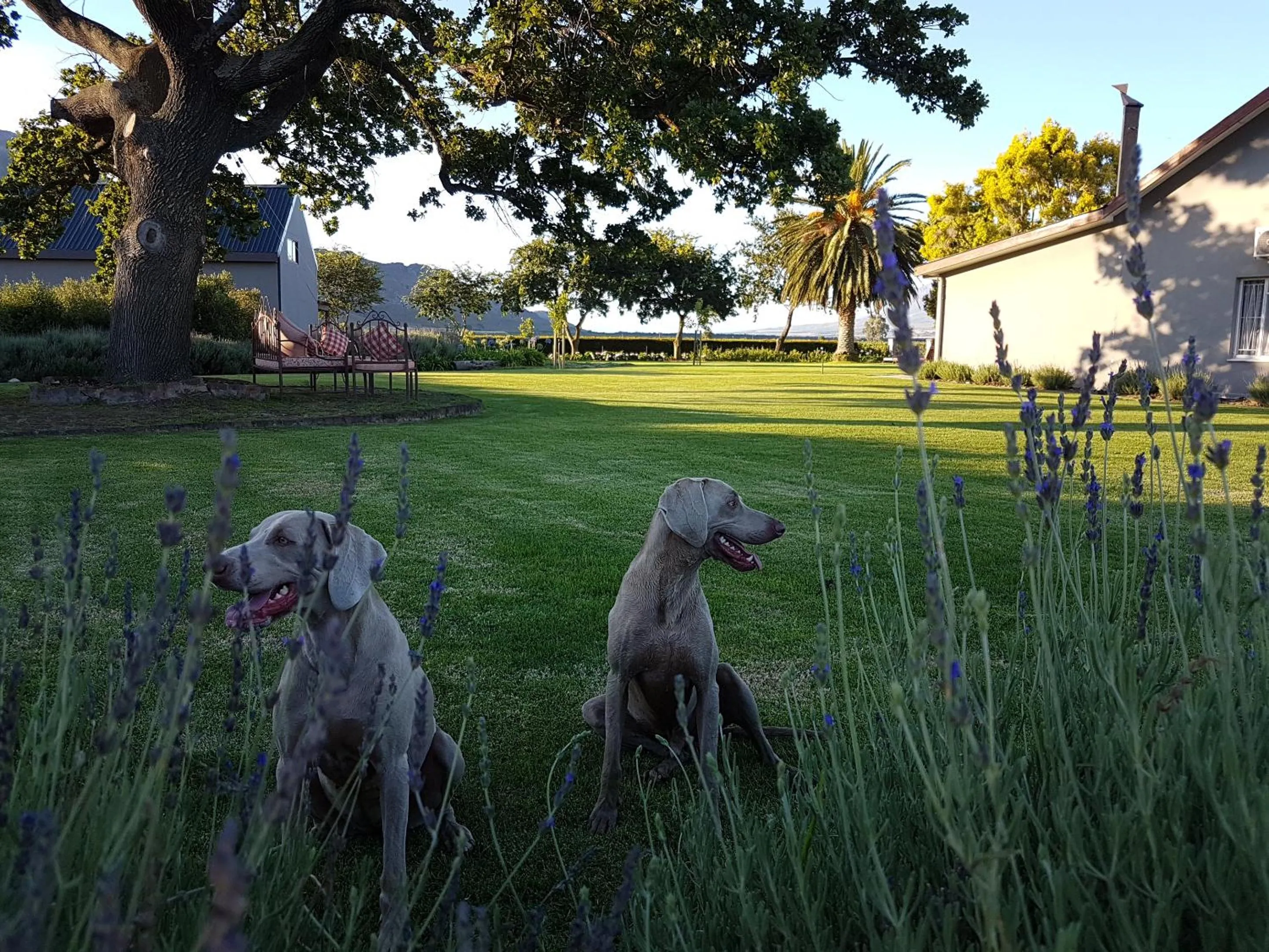 PicardiPlace