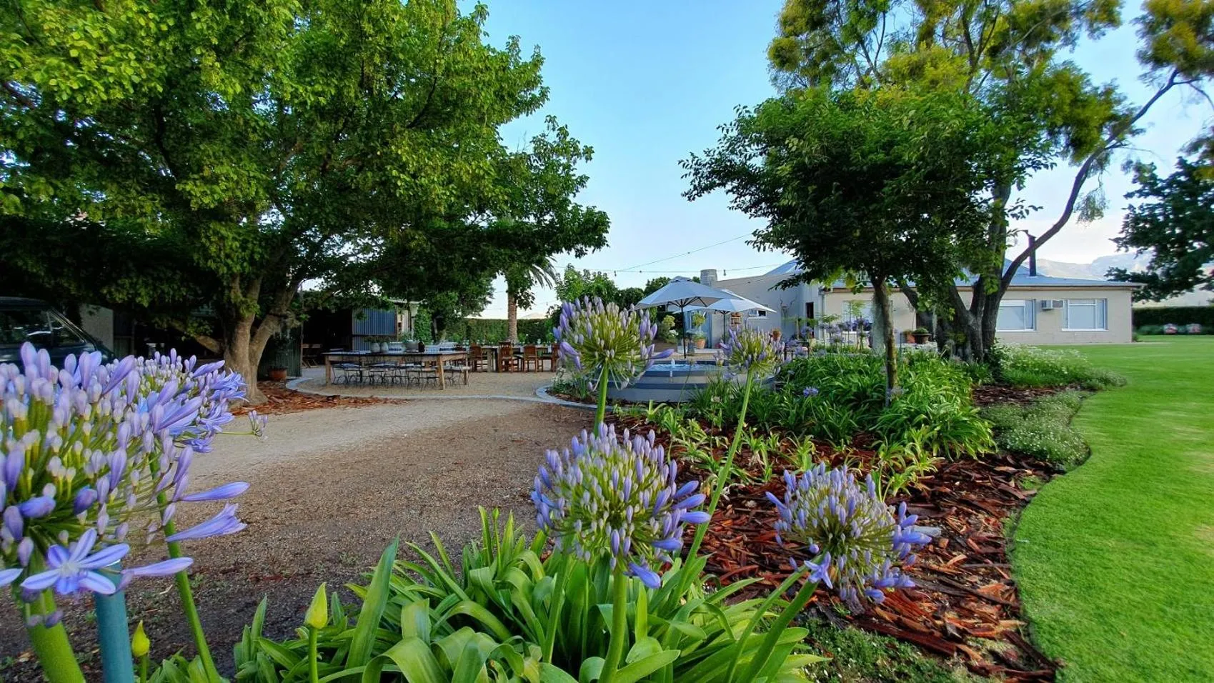 PicardiPlace