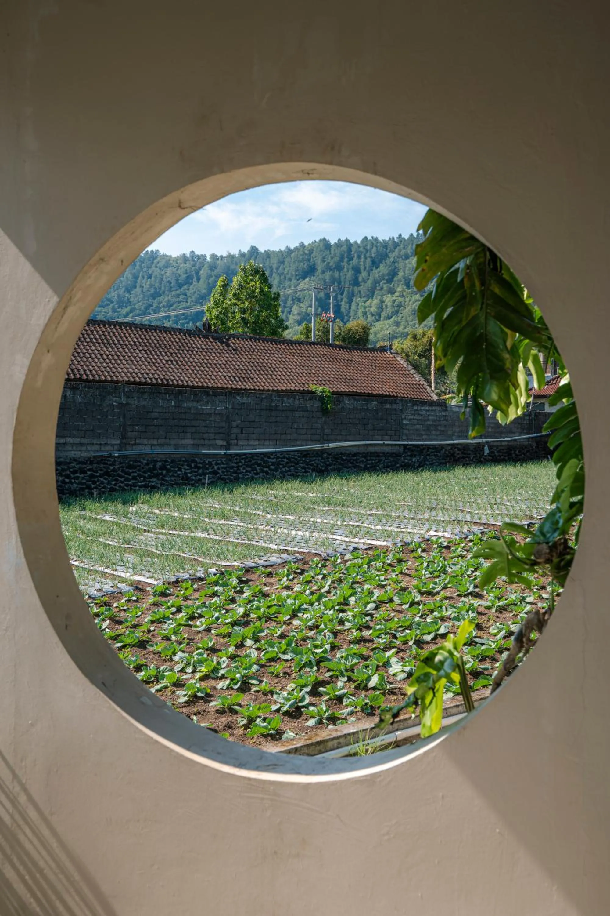 Garden view in Noya Hotel