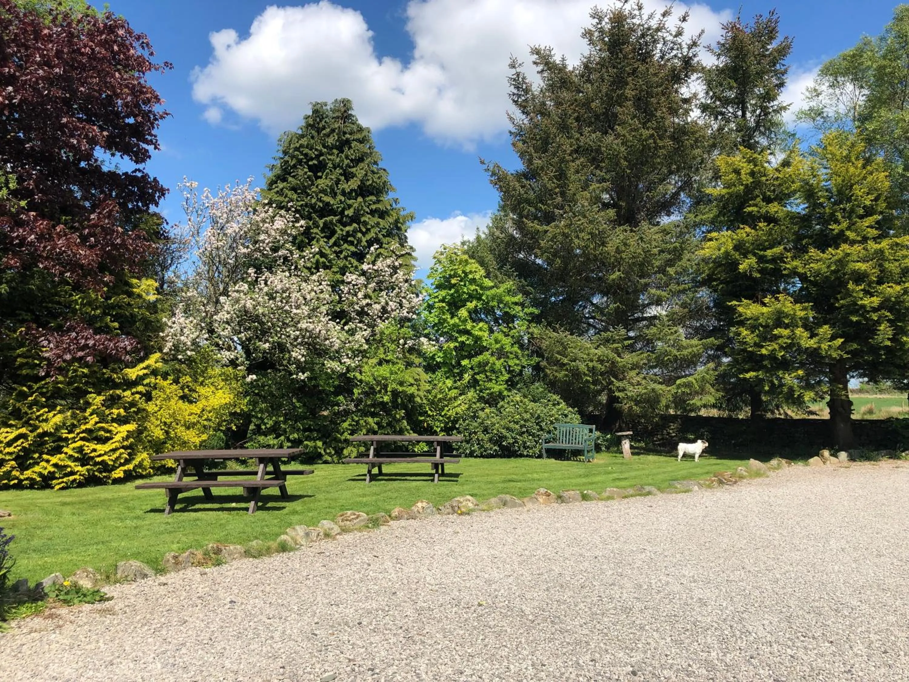Parking in Lane Head Farm Country Guest House