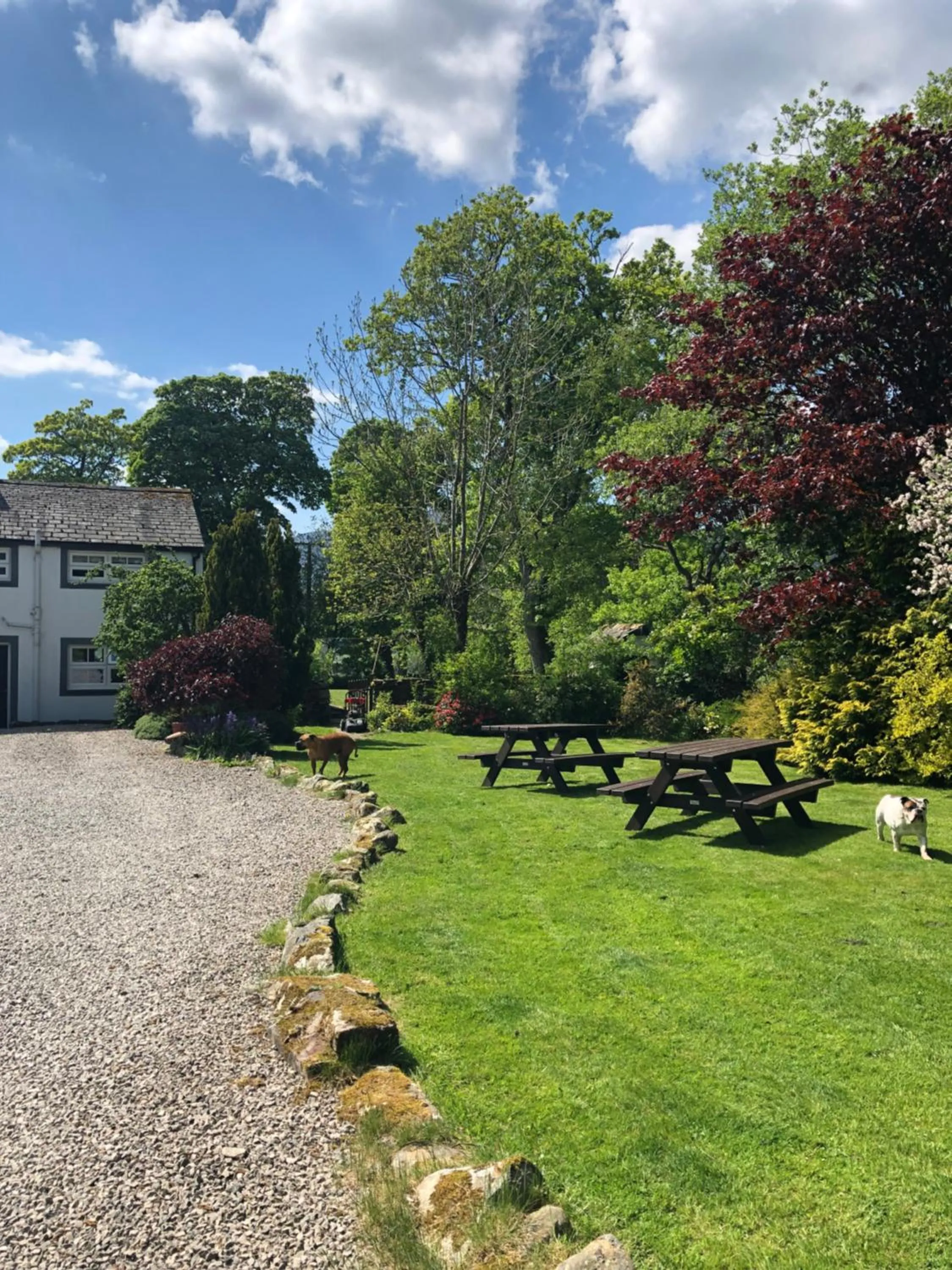 Garden in Lane Head Farm Country Guest House