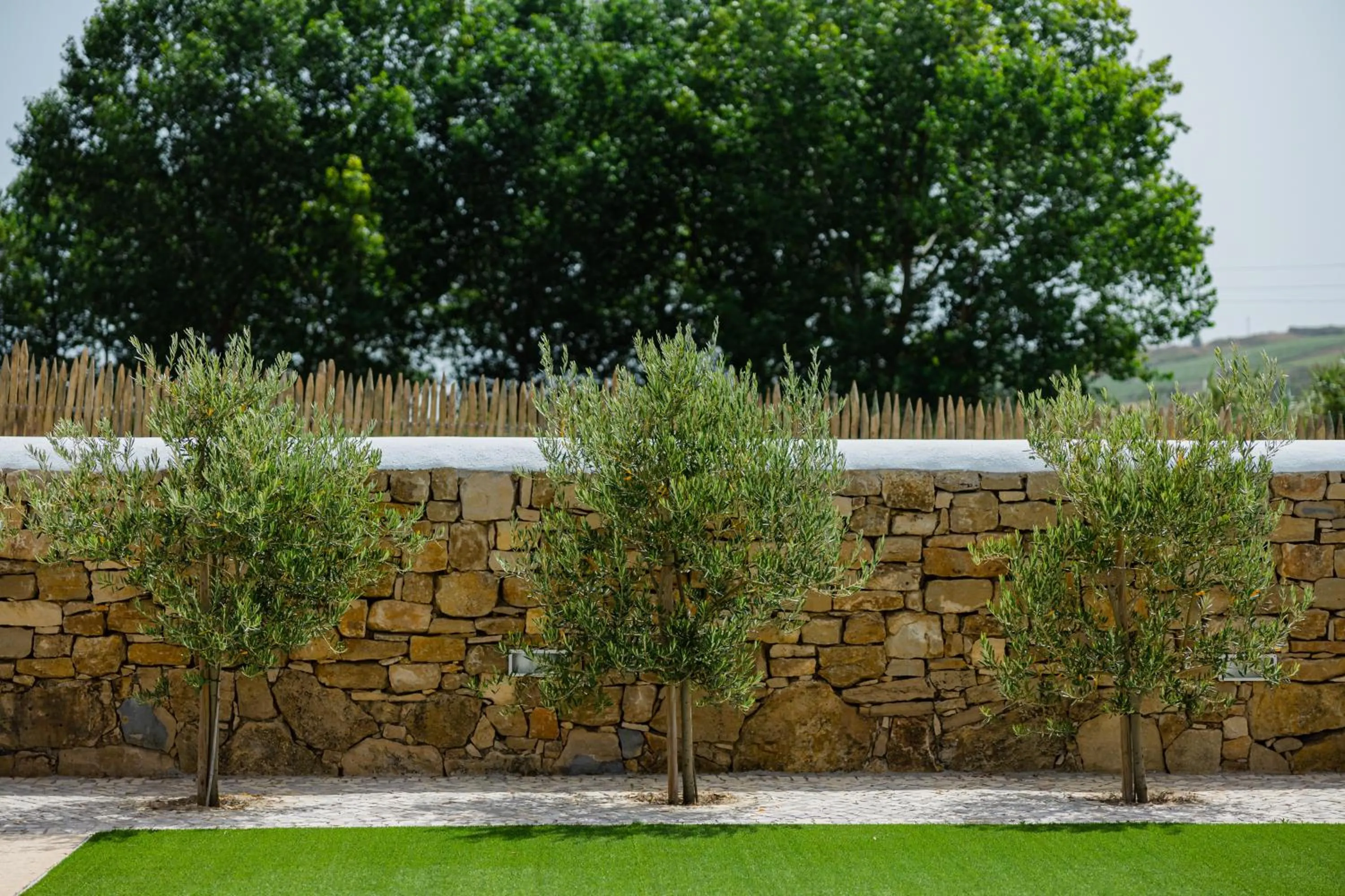 Swimming pool in Pátio da Figueira