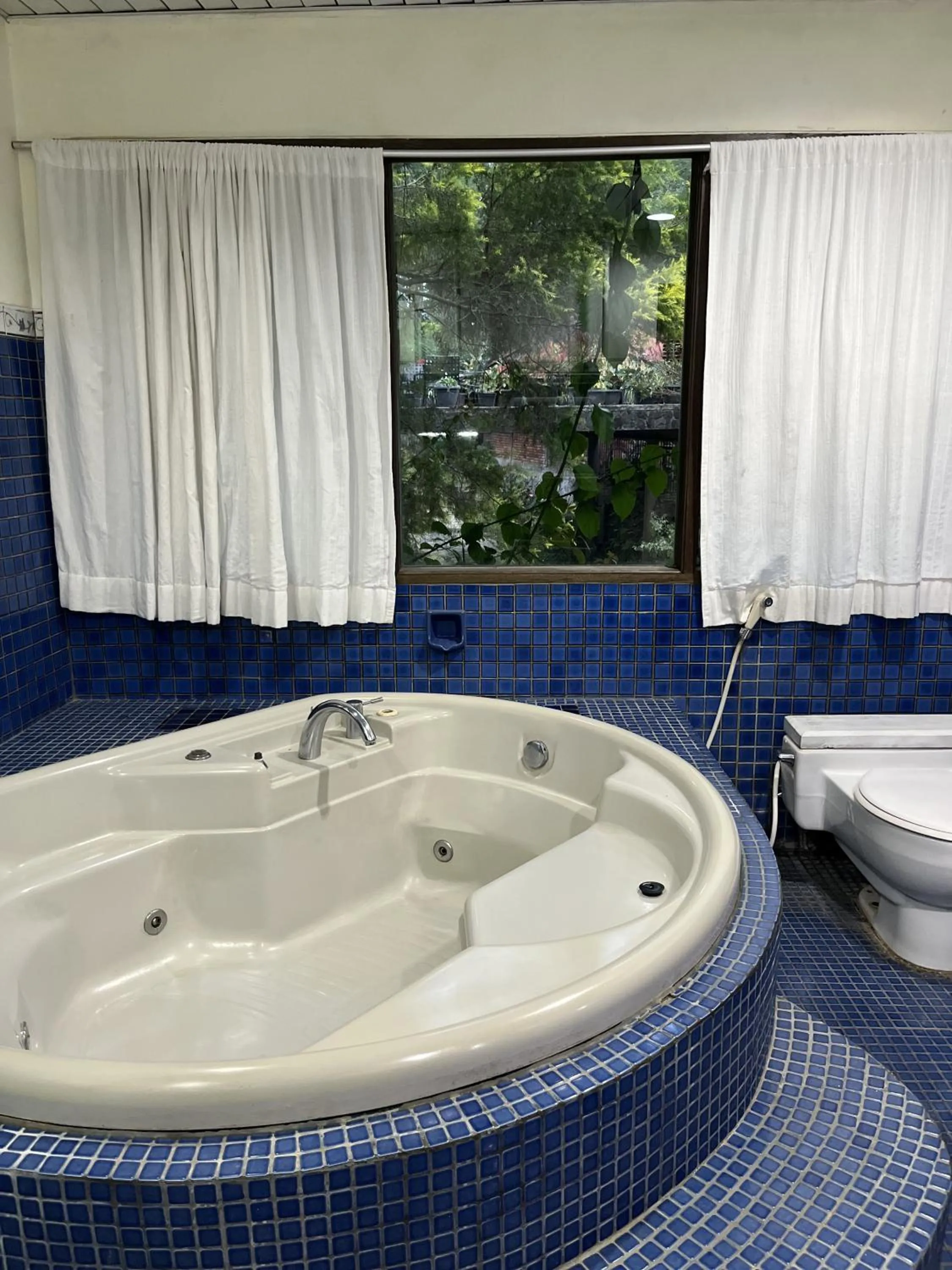 The Pinewood Lodge and Organic Farm