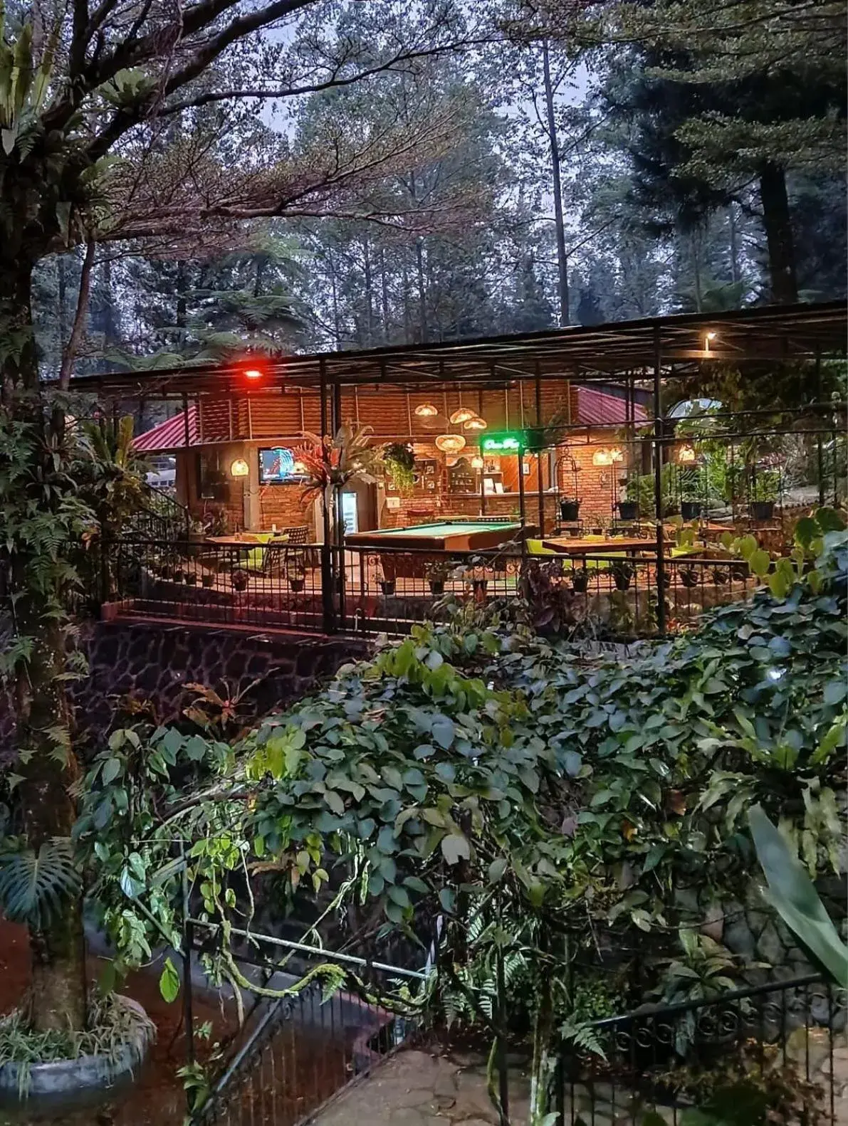 The Pinewood Lodge and Organic Farm The Pinewood Lodge and Organic Farm