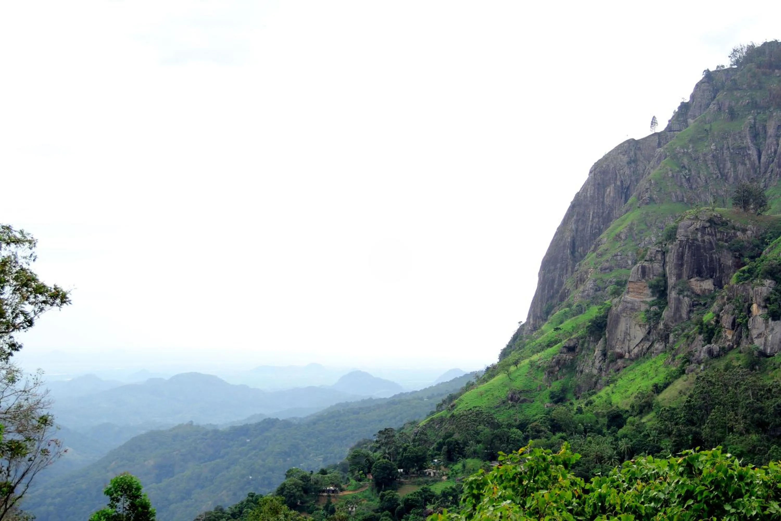 Natural landscape in Jade Ella