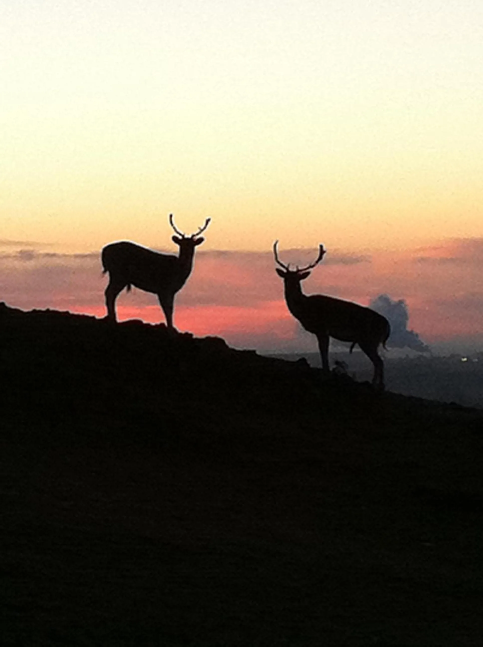 Natural landscape in Bybrook Barn Bed & Breakfast