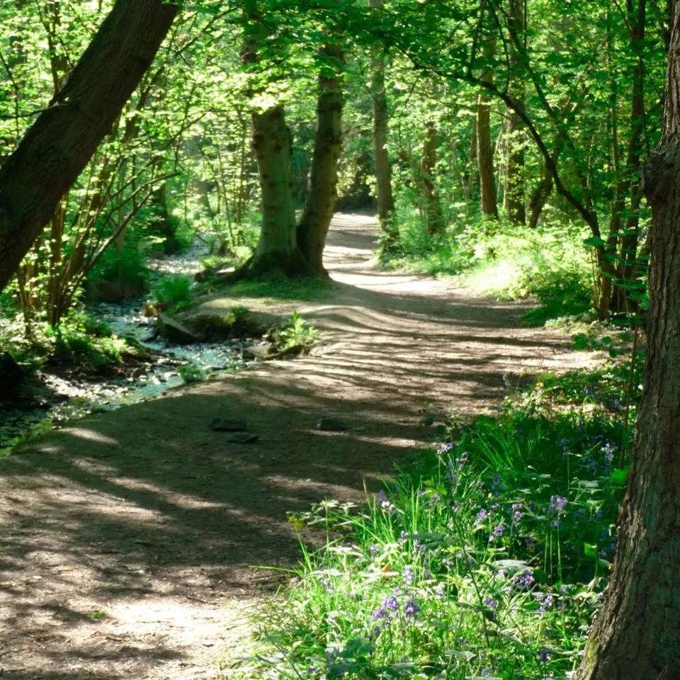 Natural landscape in Bybrook Barn Bed & Breakfast