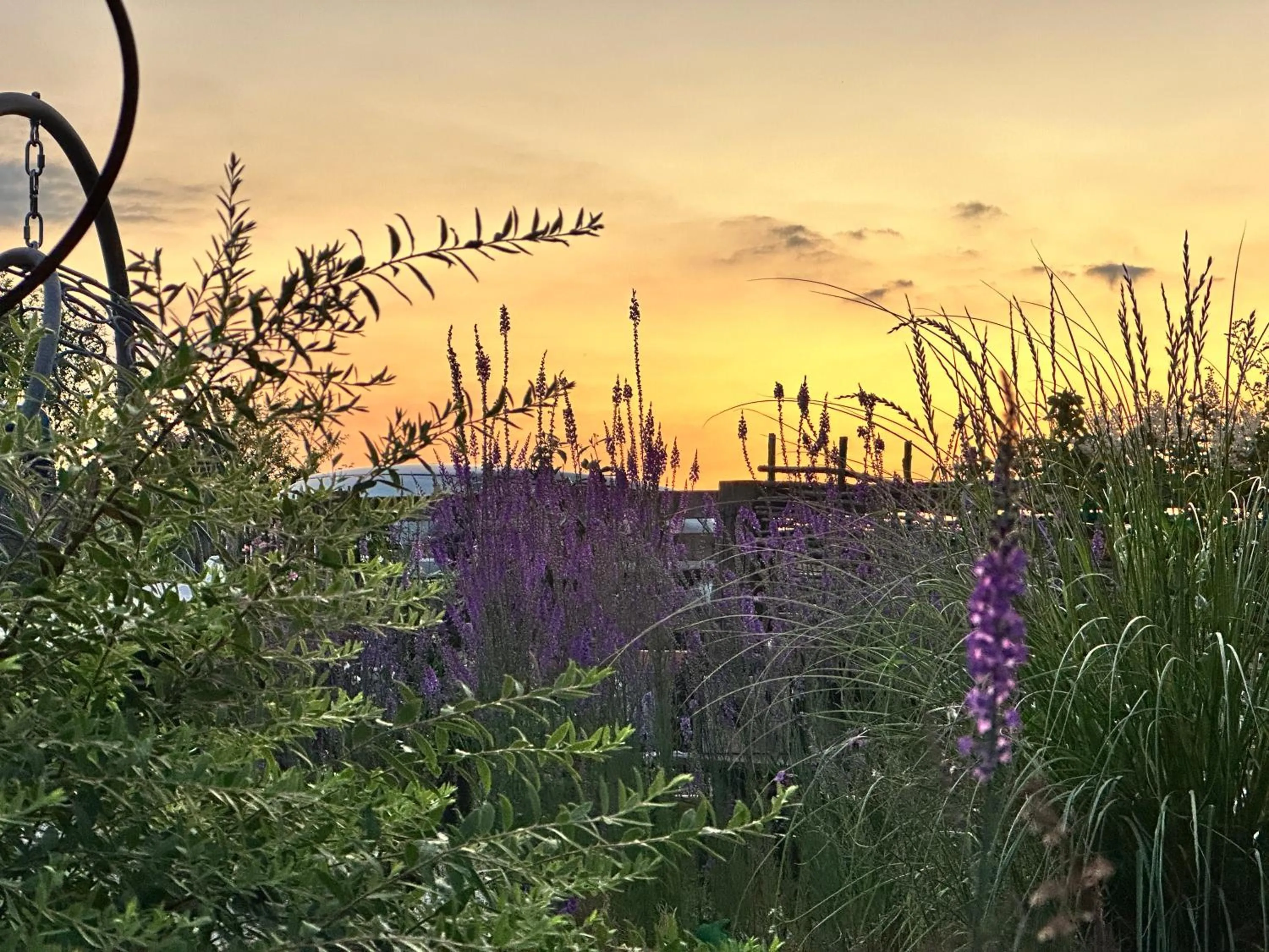 Bybrook Barn Bed & Breakfast