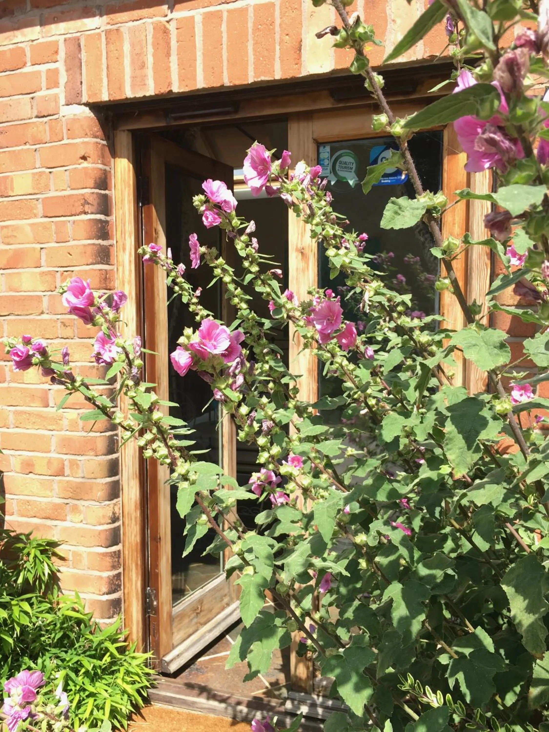 Facade/entrance in Bybrook Barn Bed & Breakfast