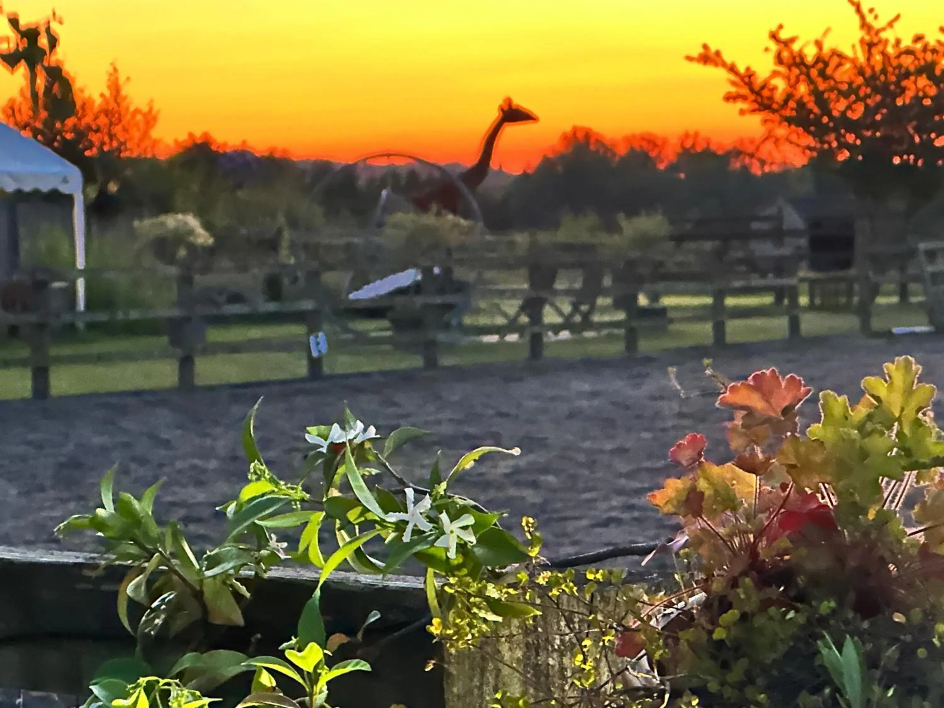 Bybrook Barn Bed & Breakfast