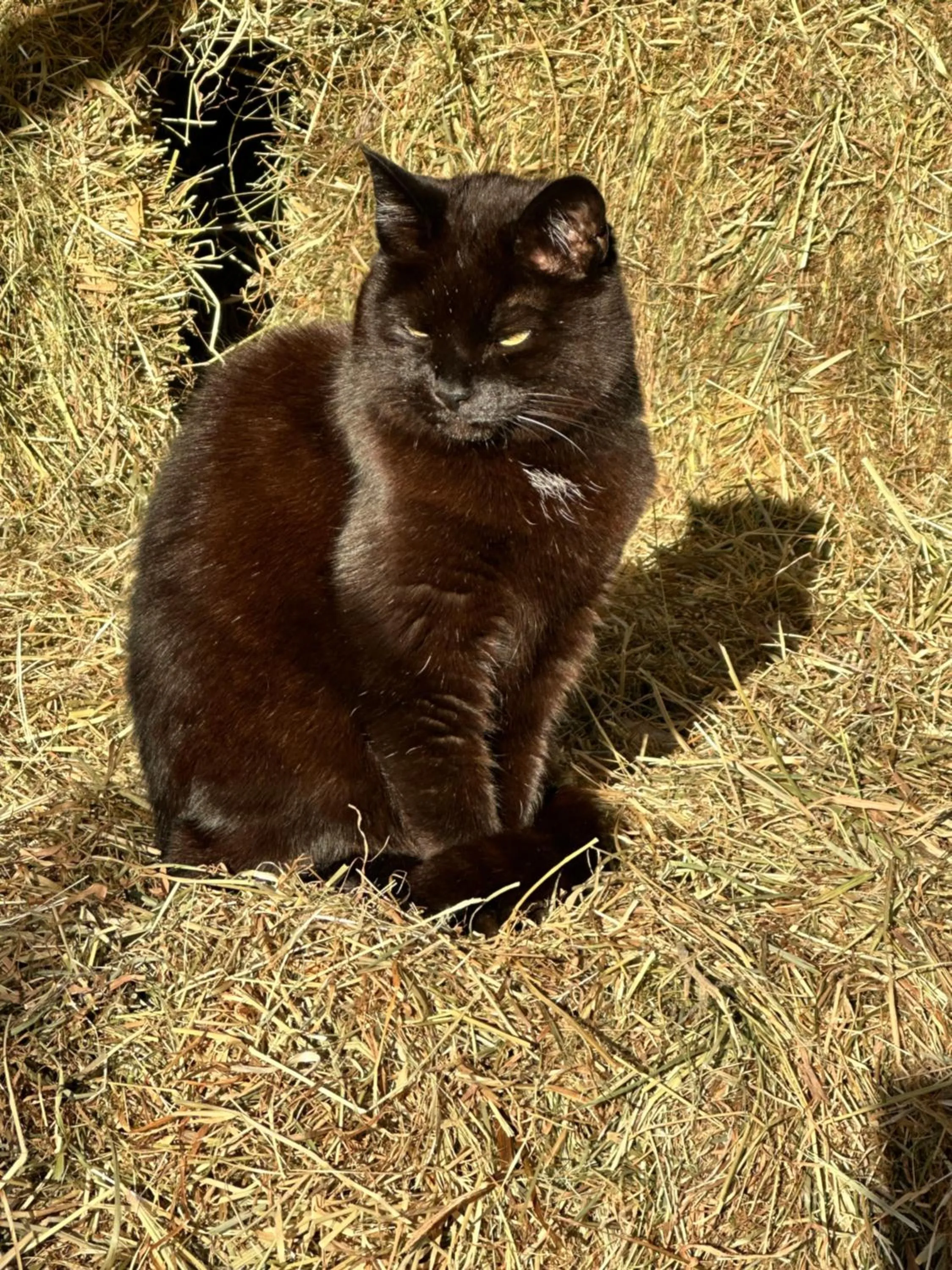 Bybrook Barn Bed & Breakfast