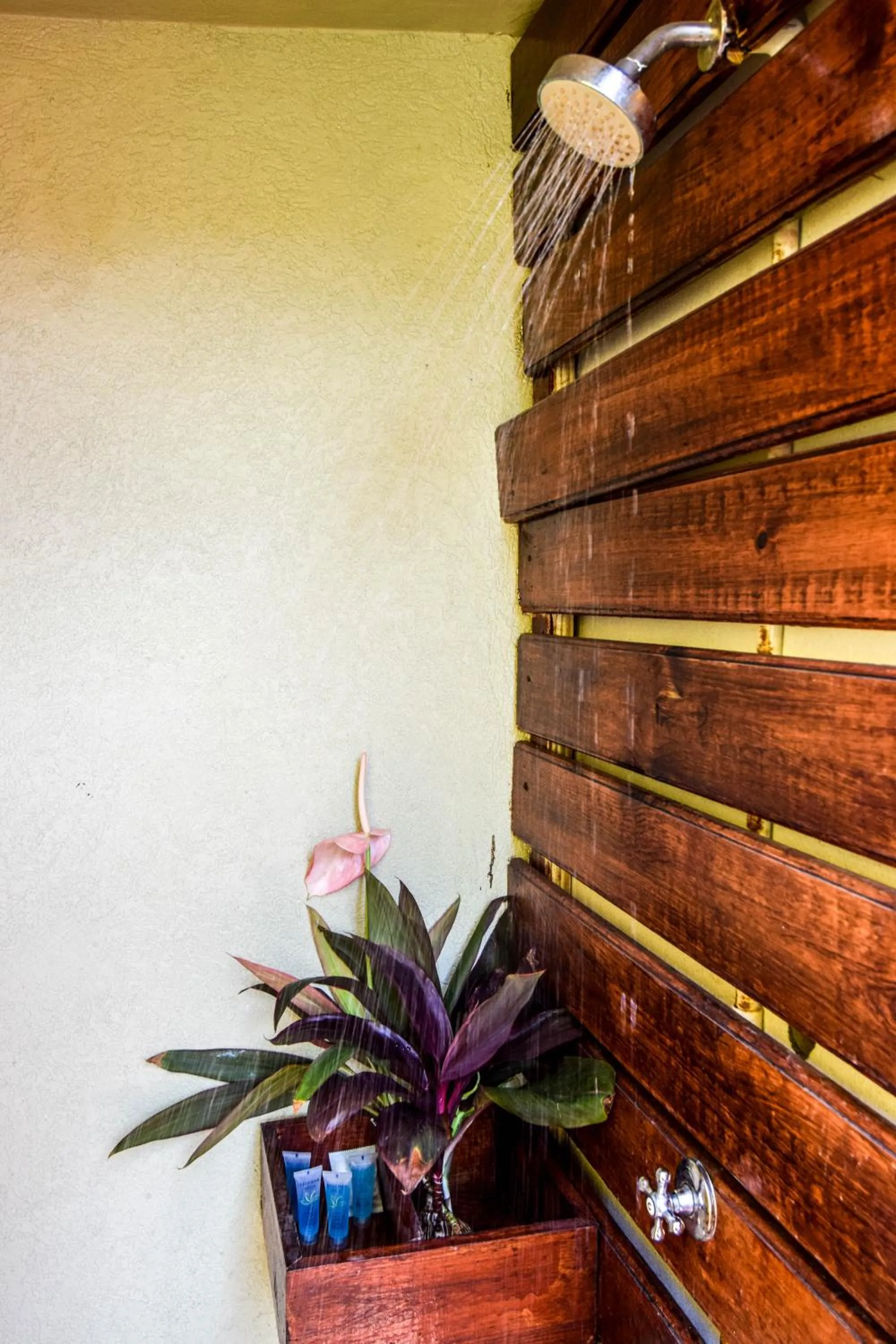Sea Piton View Apartment- Location, Convenience, Modern Living