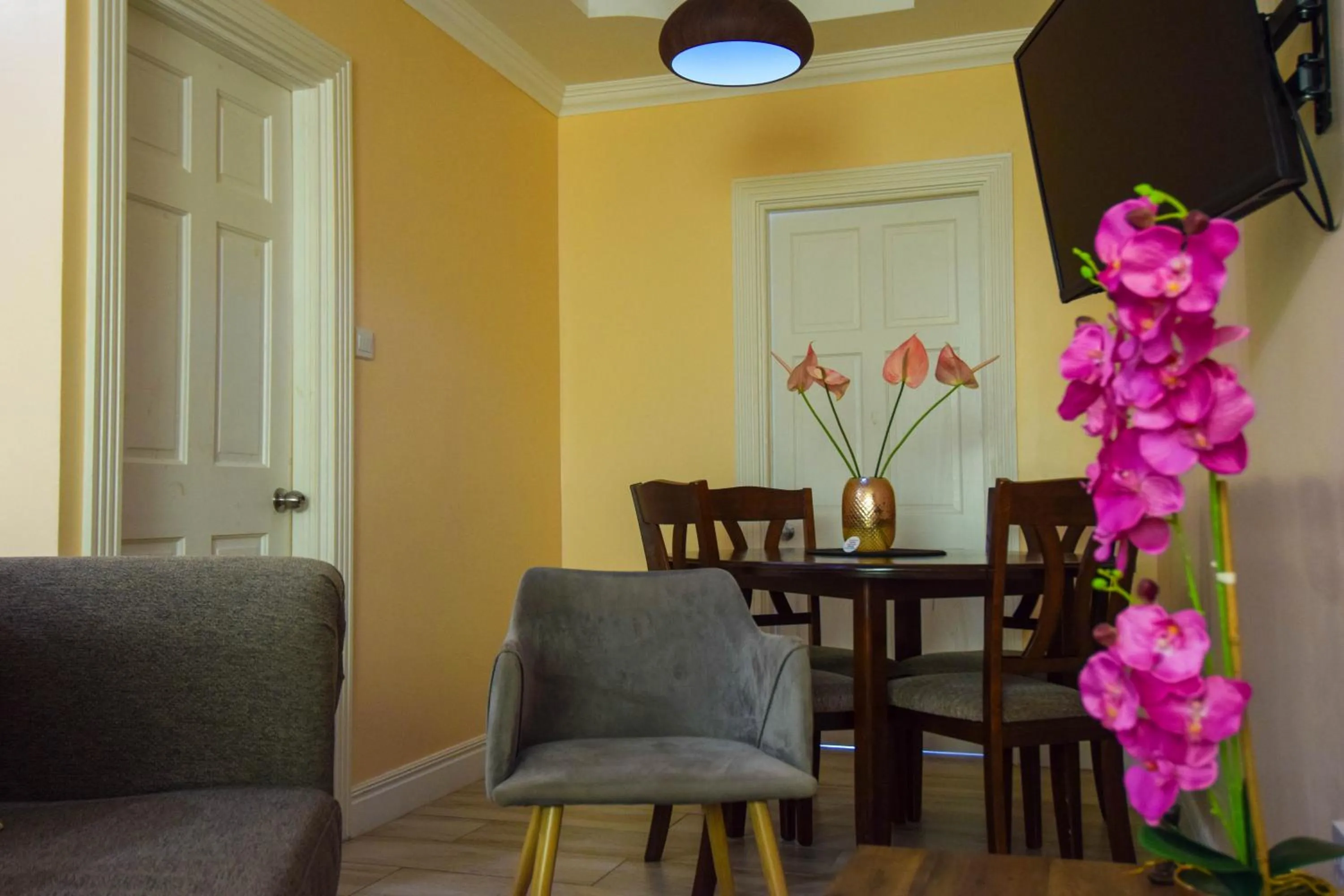Sea Piton View Apartment- Location, Convenience, Modern Living