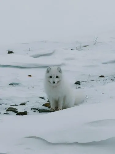 Gjestehuset 102 - your home away from home!