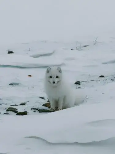 Gjestehuset 102 - your home away from home! Gjestehuset 102 - your home away from home!