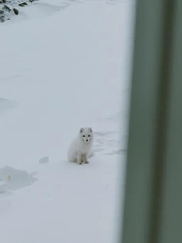 Gjestehuset 102 - your home away from home!