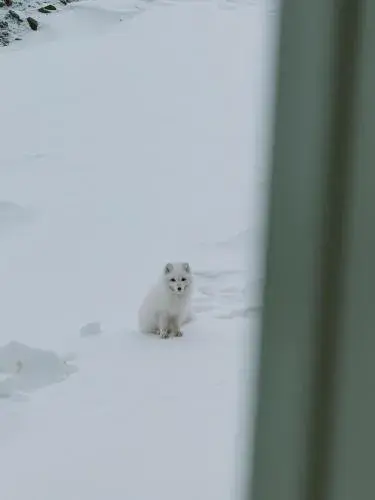 Gjestehuset 102 - your home away from home! Gjestehuset 102 - your home away from home!