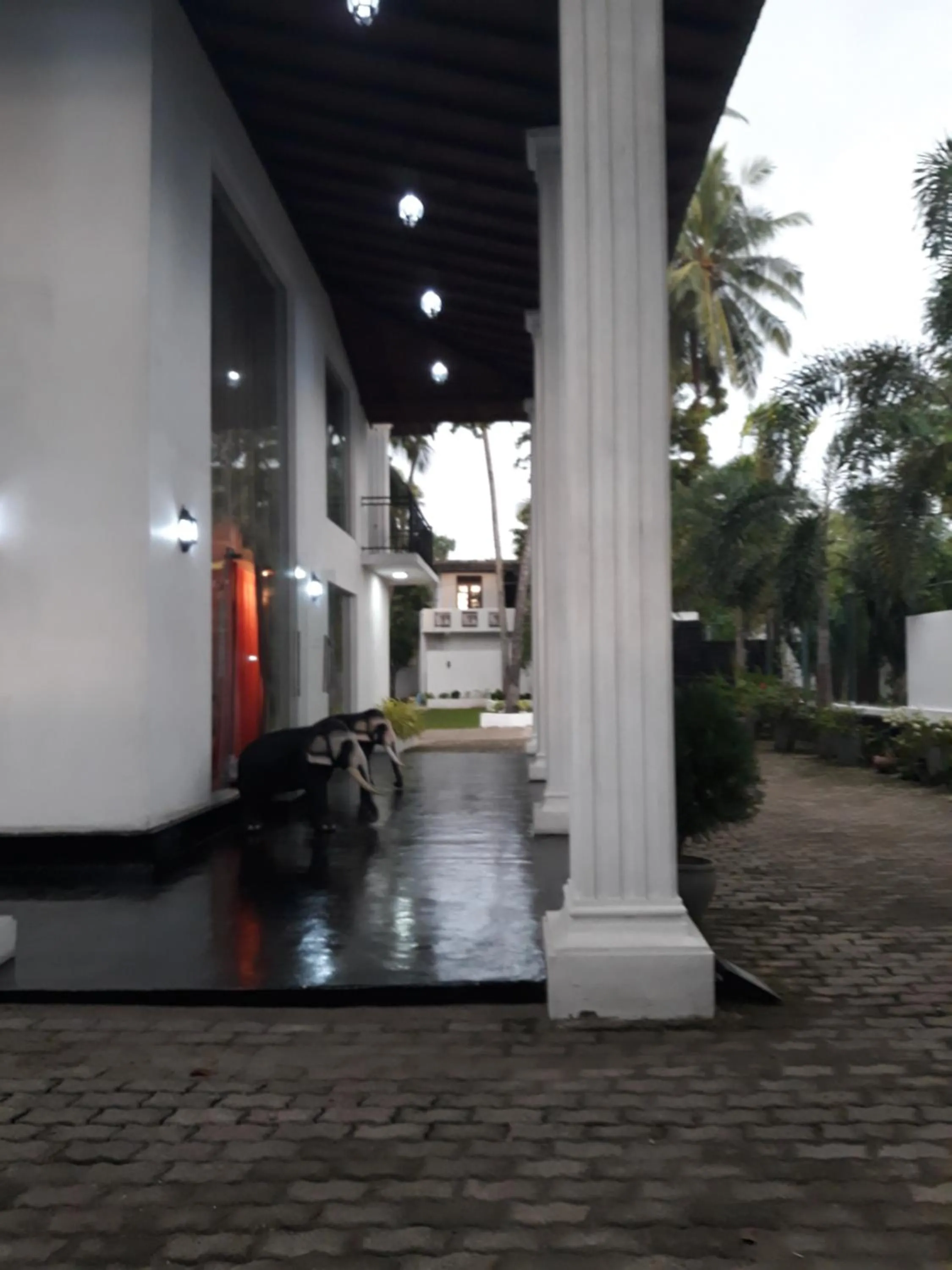 The Kingston Hotel