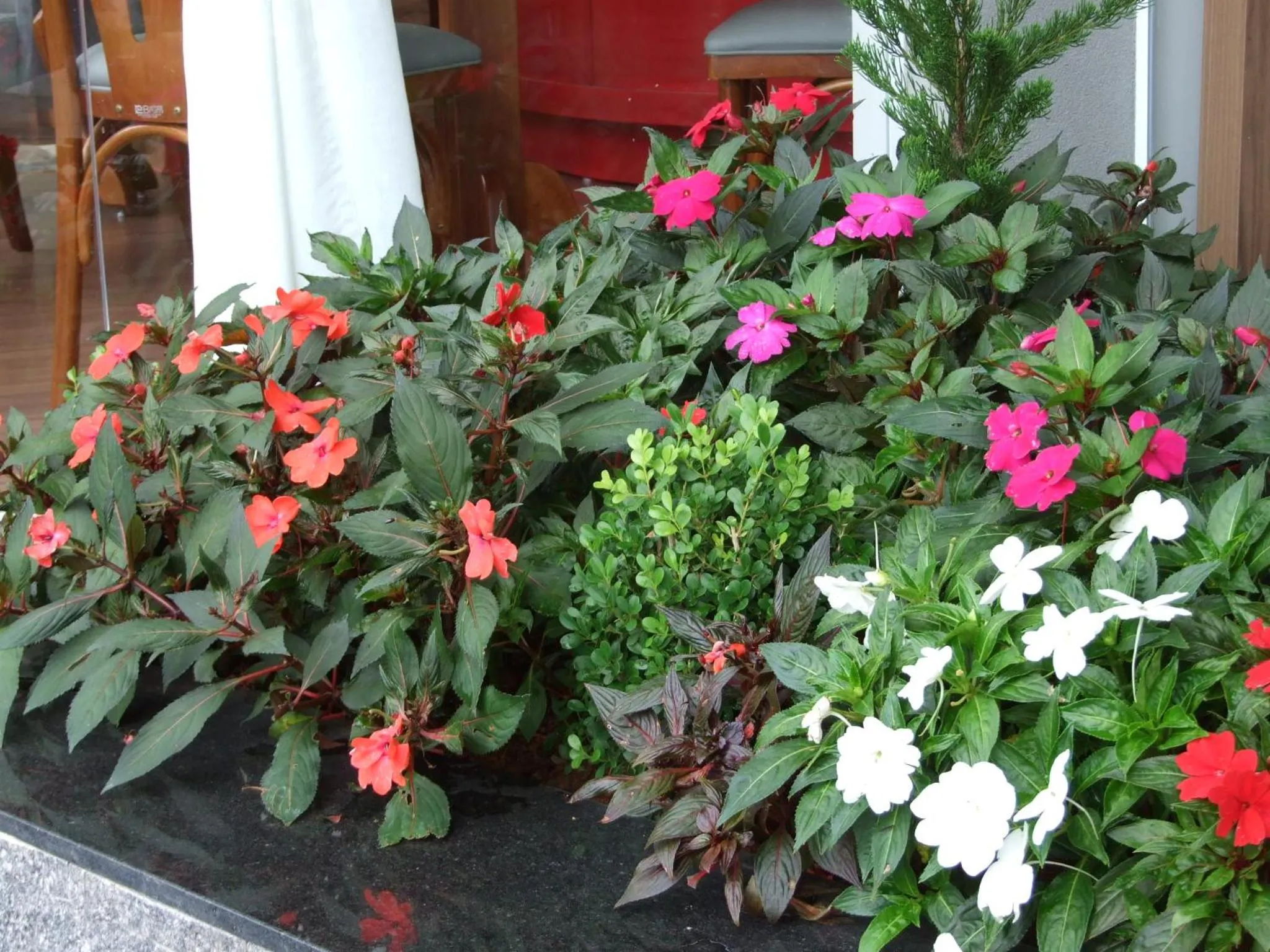 Decorative detail in Vivas Hotel e Casa