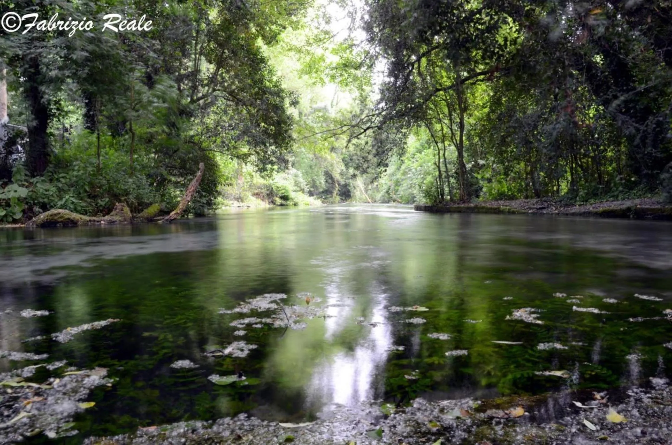 Nearby landmark in Hotel Parigi